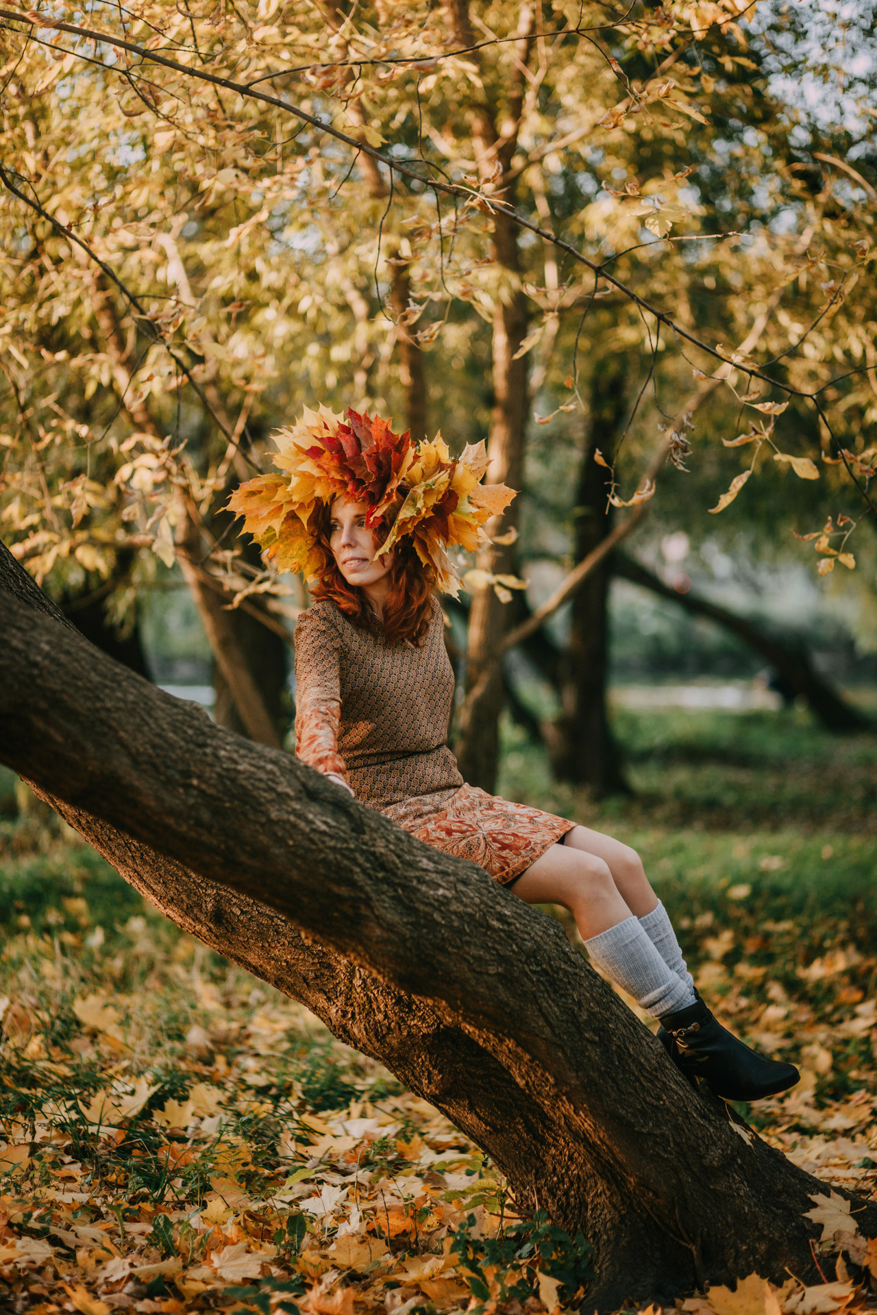 Оля в осени. Фотограф-анималист Елена Радченко, Москва