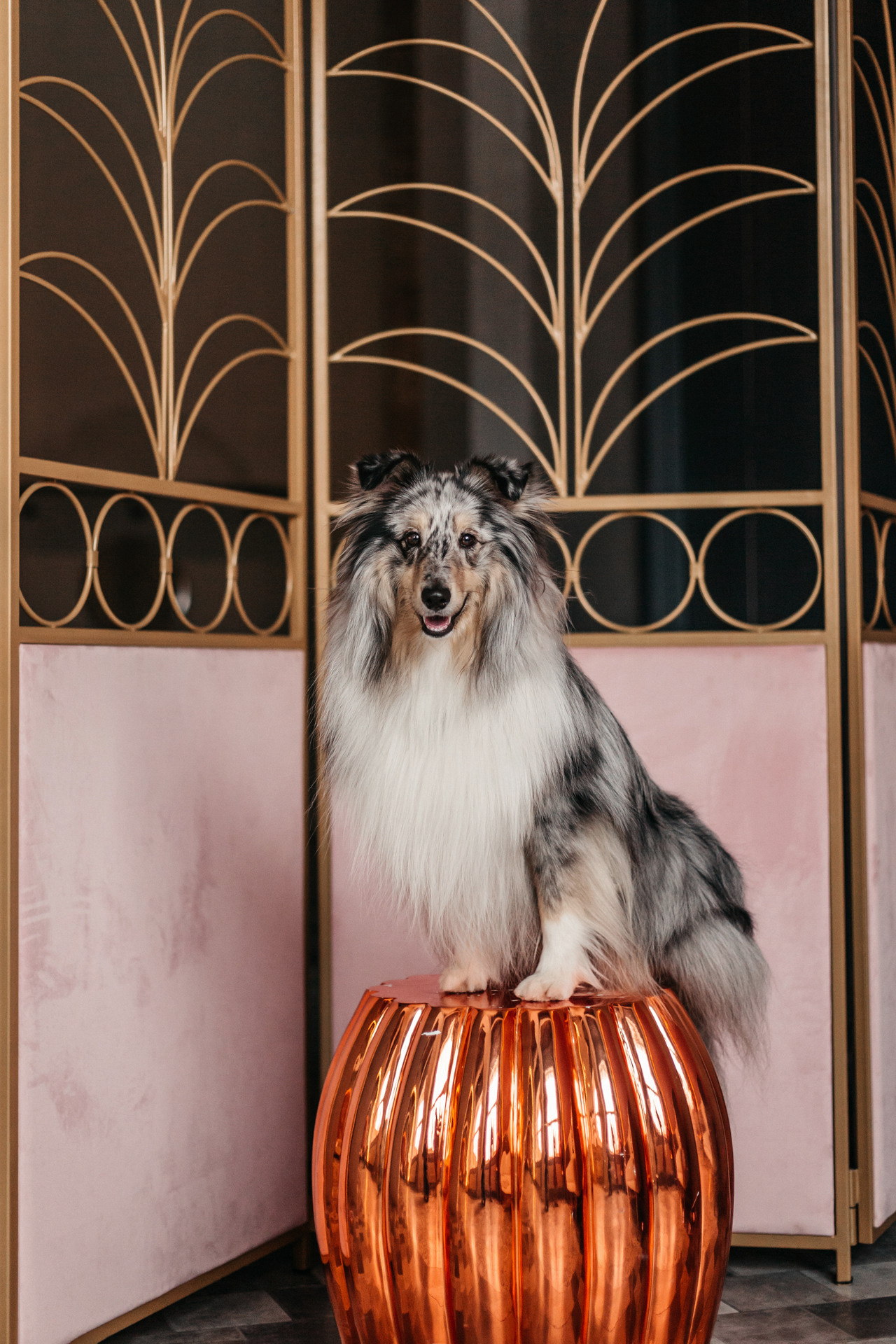 Аня и Скай. Фотограф-анималист Елена Радченко, Москва