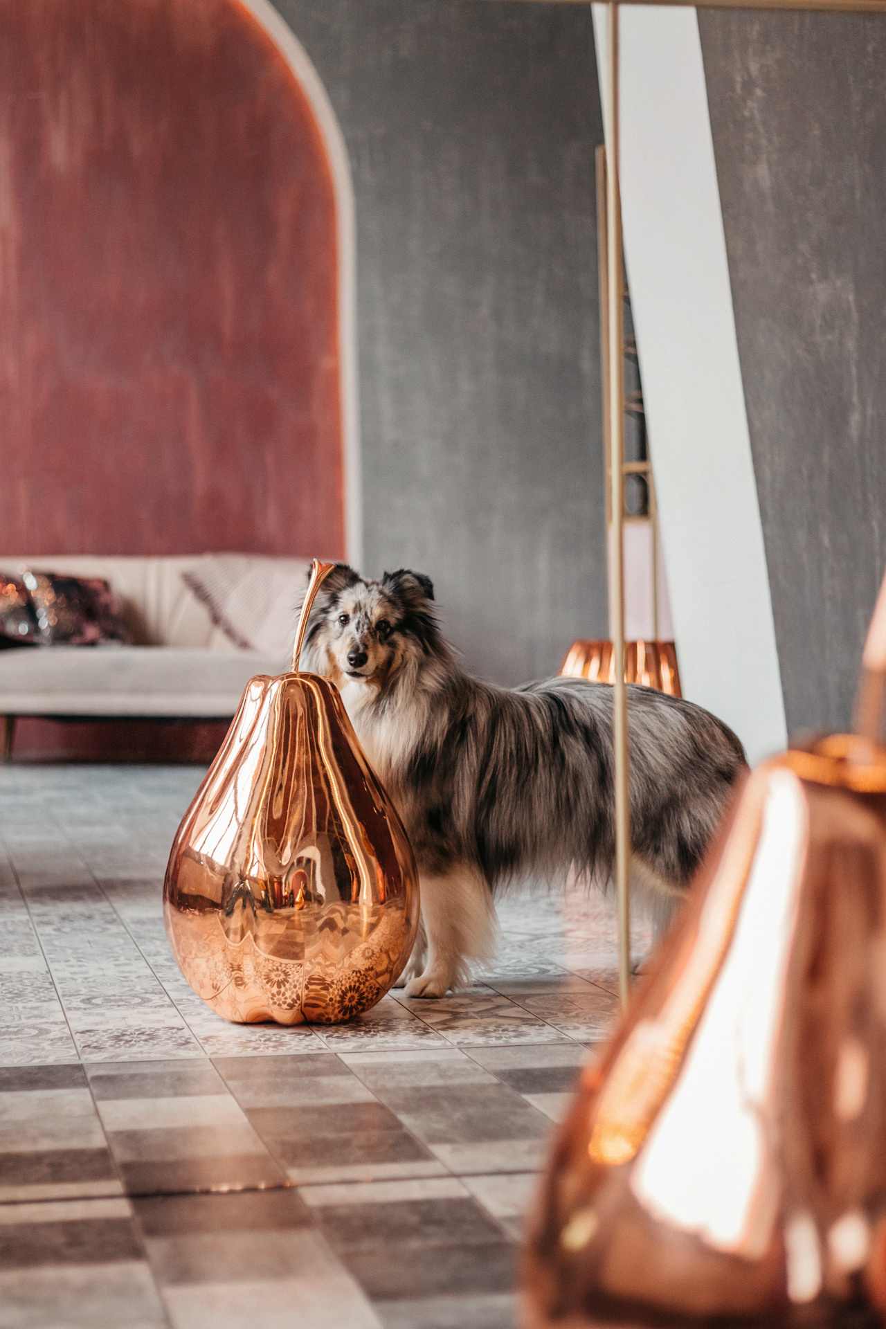 Аня и Скай. Фотограф-анималист Елена Радченко, Москва