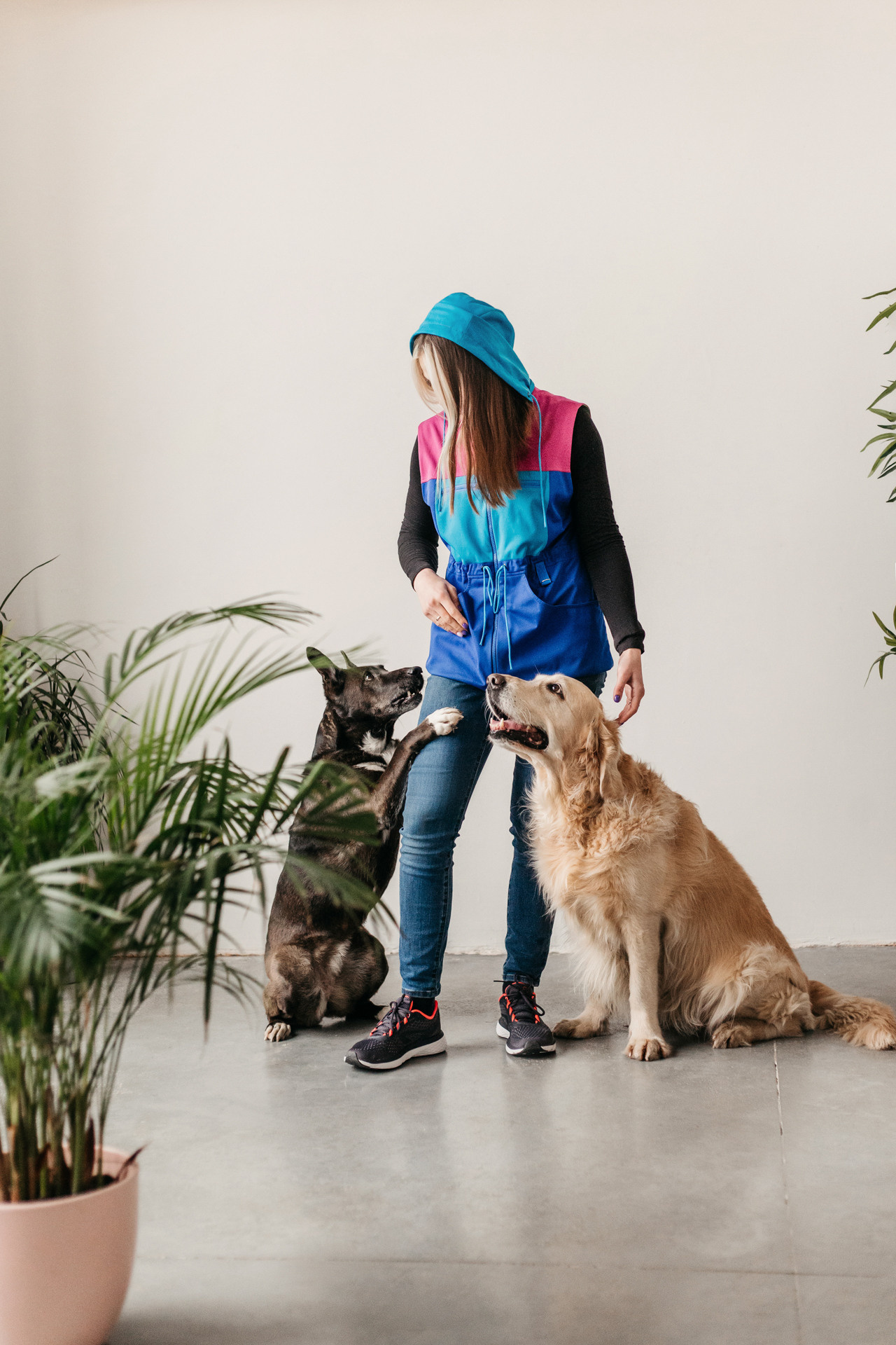 Ира, Бэлла и Альма. Фотограф-анималист Елена Радченко, Москва