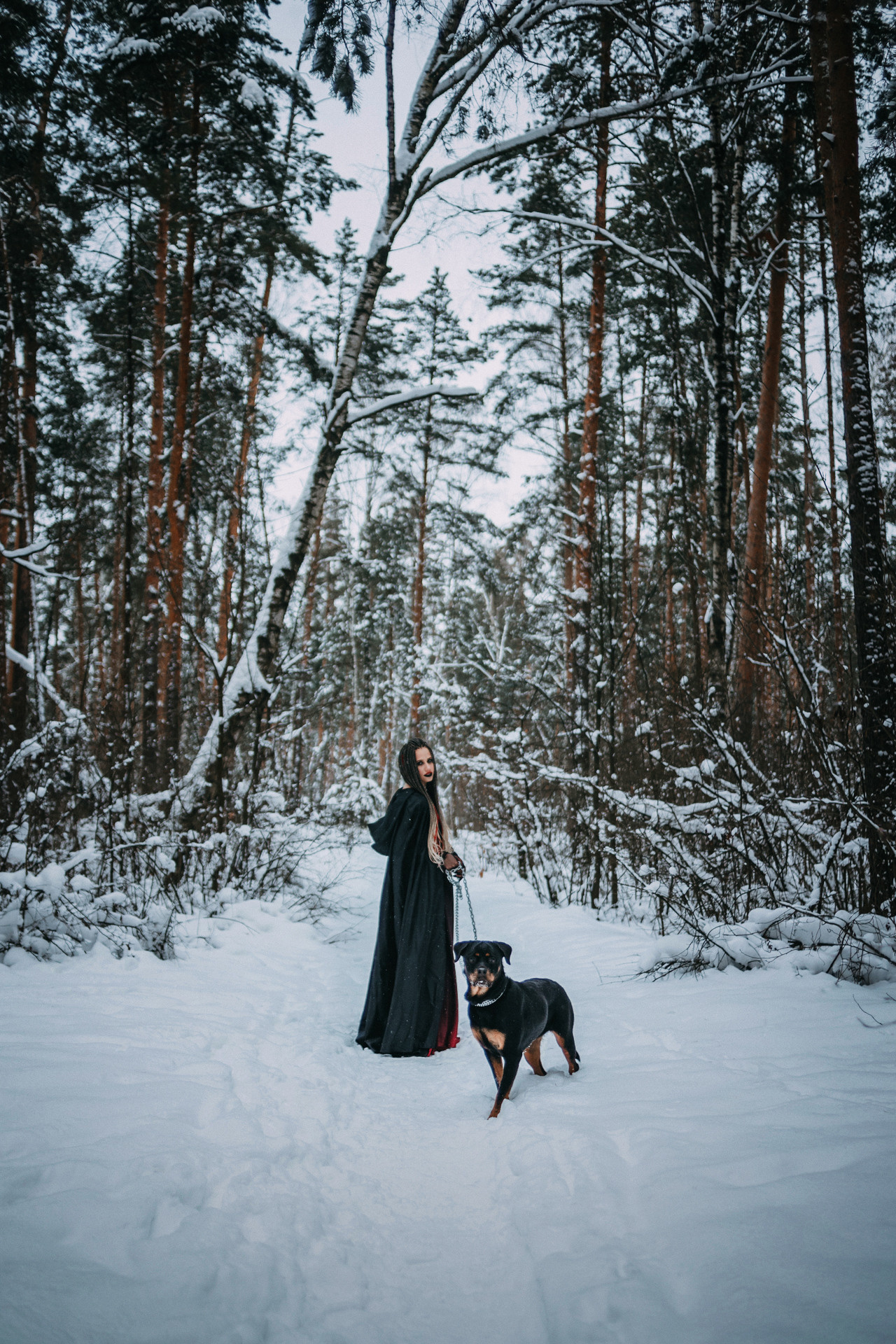 Каринэ и Цири. Фотограф-анималист Елена Радченко, Москва