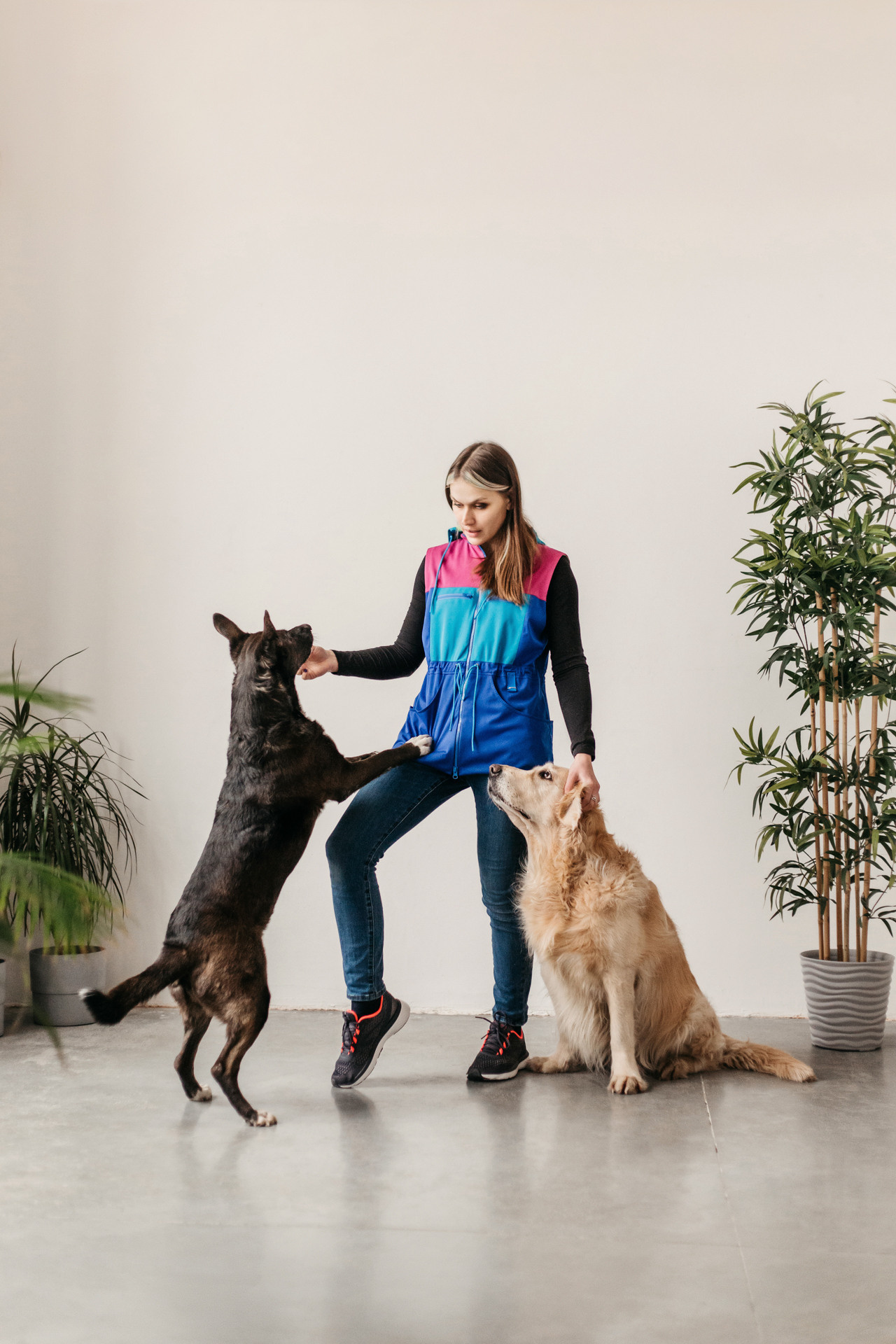 Ира, Бэлла и Альма. Фотограф-анималист Елена Радченко, Москва