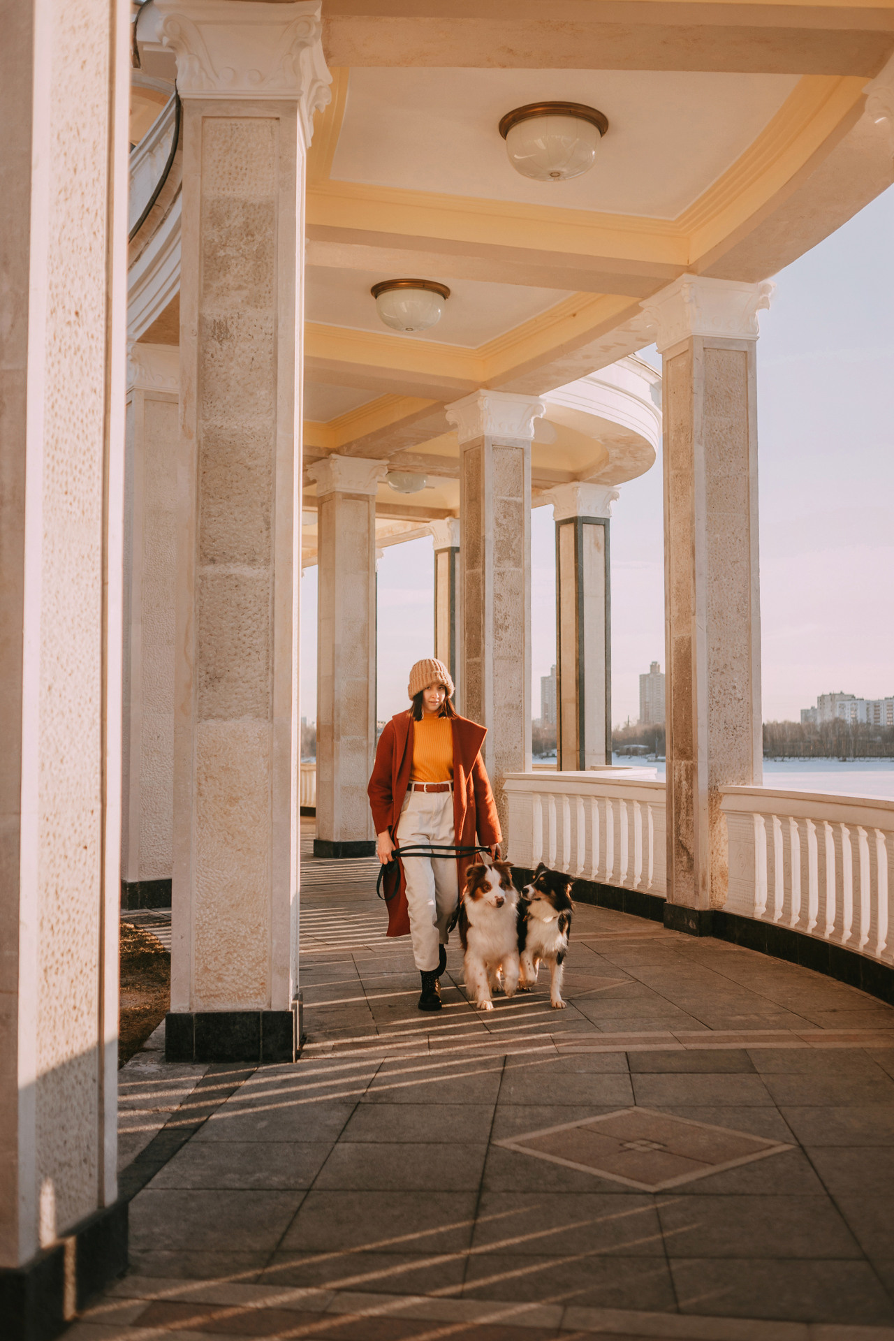 Нюта, Мэри и Лэсси. Фотограф-анималист Елена Радченко, Москва