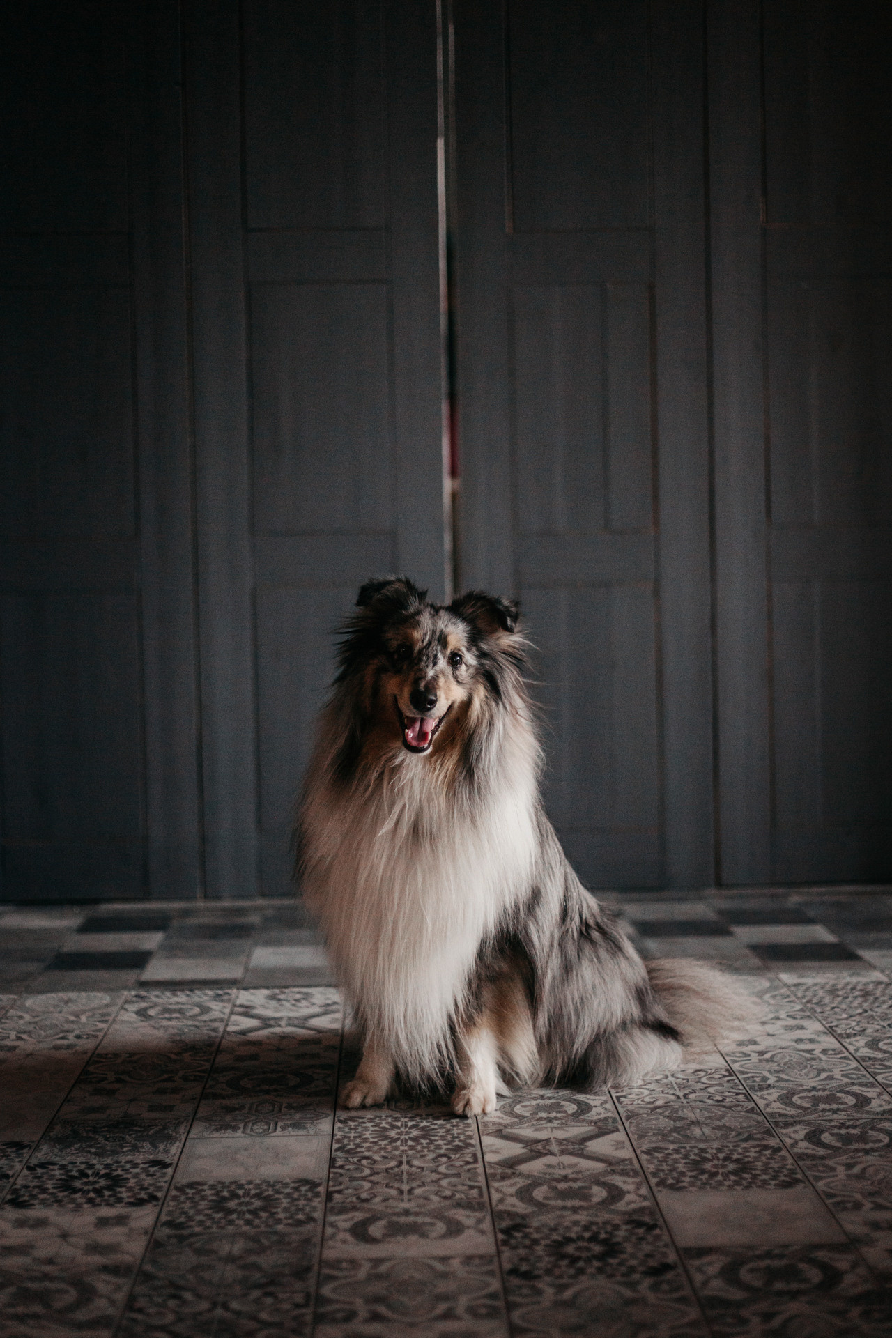 Аня и Скай. Фотограф-анималист Елена Радченко, Москва
