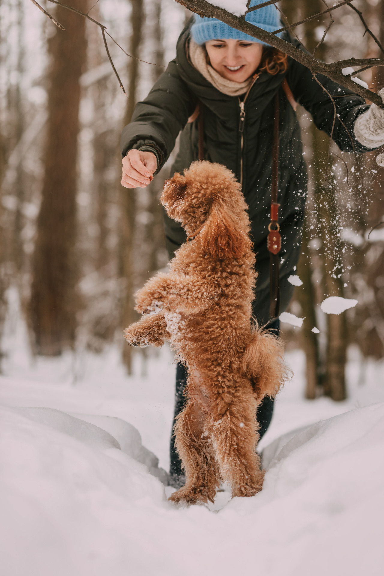 Лариса и Патрик. Фотограф-анималист Елена Радченко, Москва