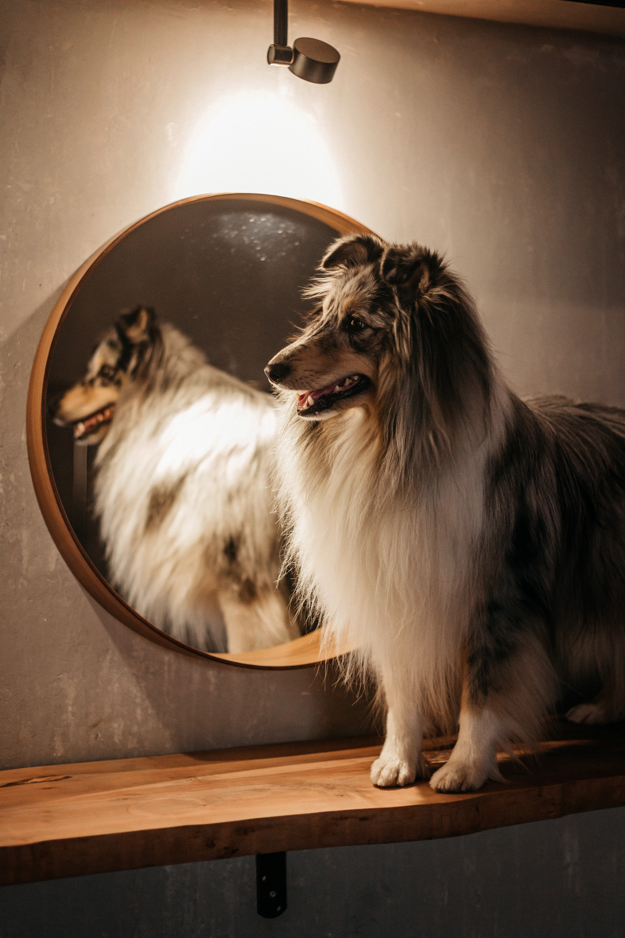 Аня и Скай. Фотограф-анималист Елена Радченко, Москва