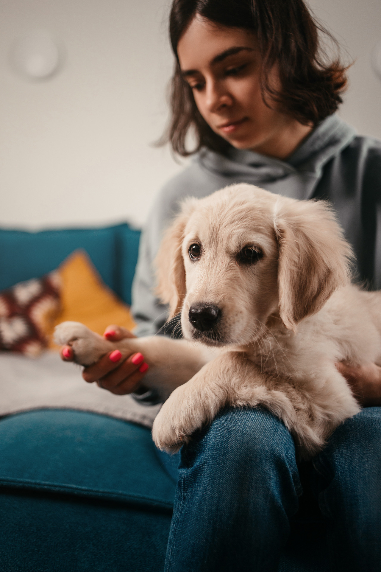 Настя, Вальда и Флер. Фотограф-анималист Елена Радченко, Москва