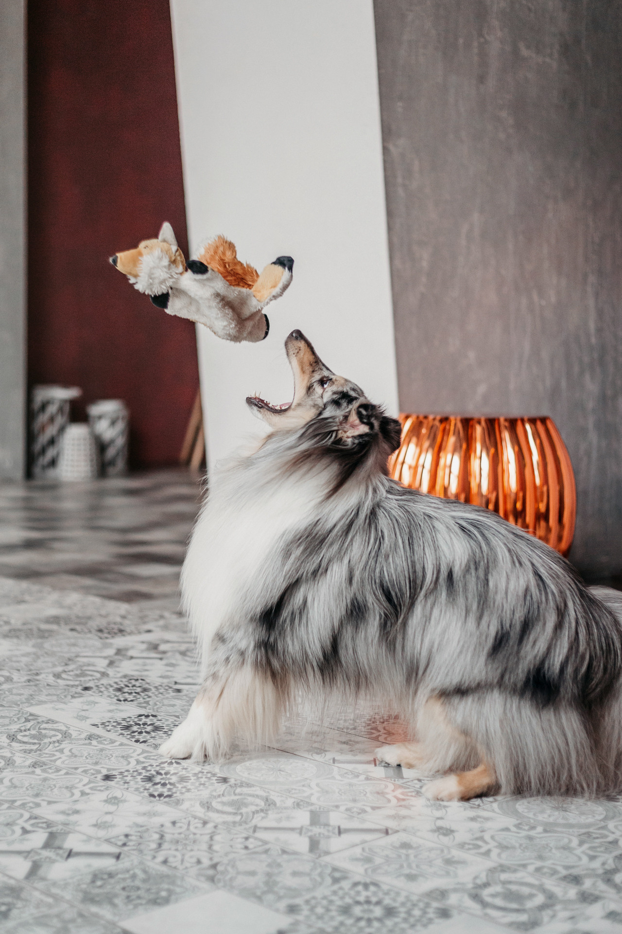 Аня и Скай. Фотограф-анималист Елена Радченко, Москва