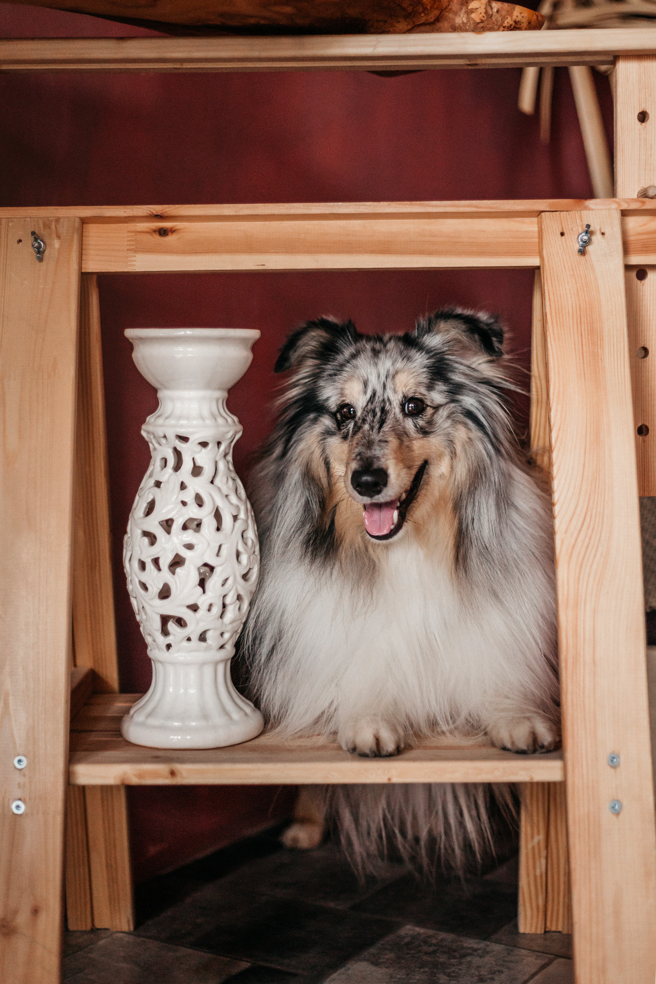 Аня и Скай. Фотограф-анималист Елена Радченко, Москва