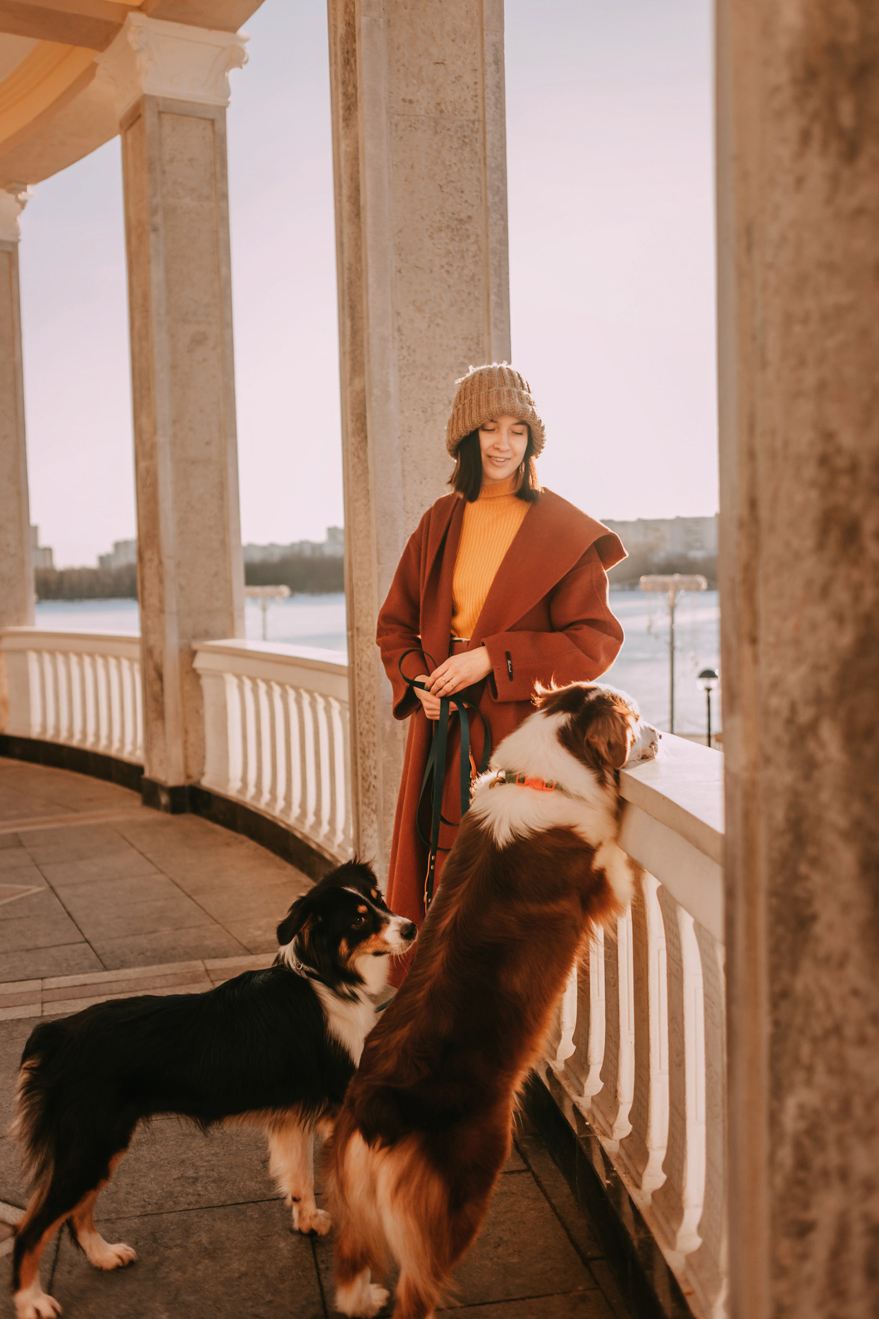 Нюта, Мэри и Лэсси. Фотограф-анималист Елена Радченко, Москва