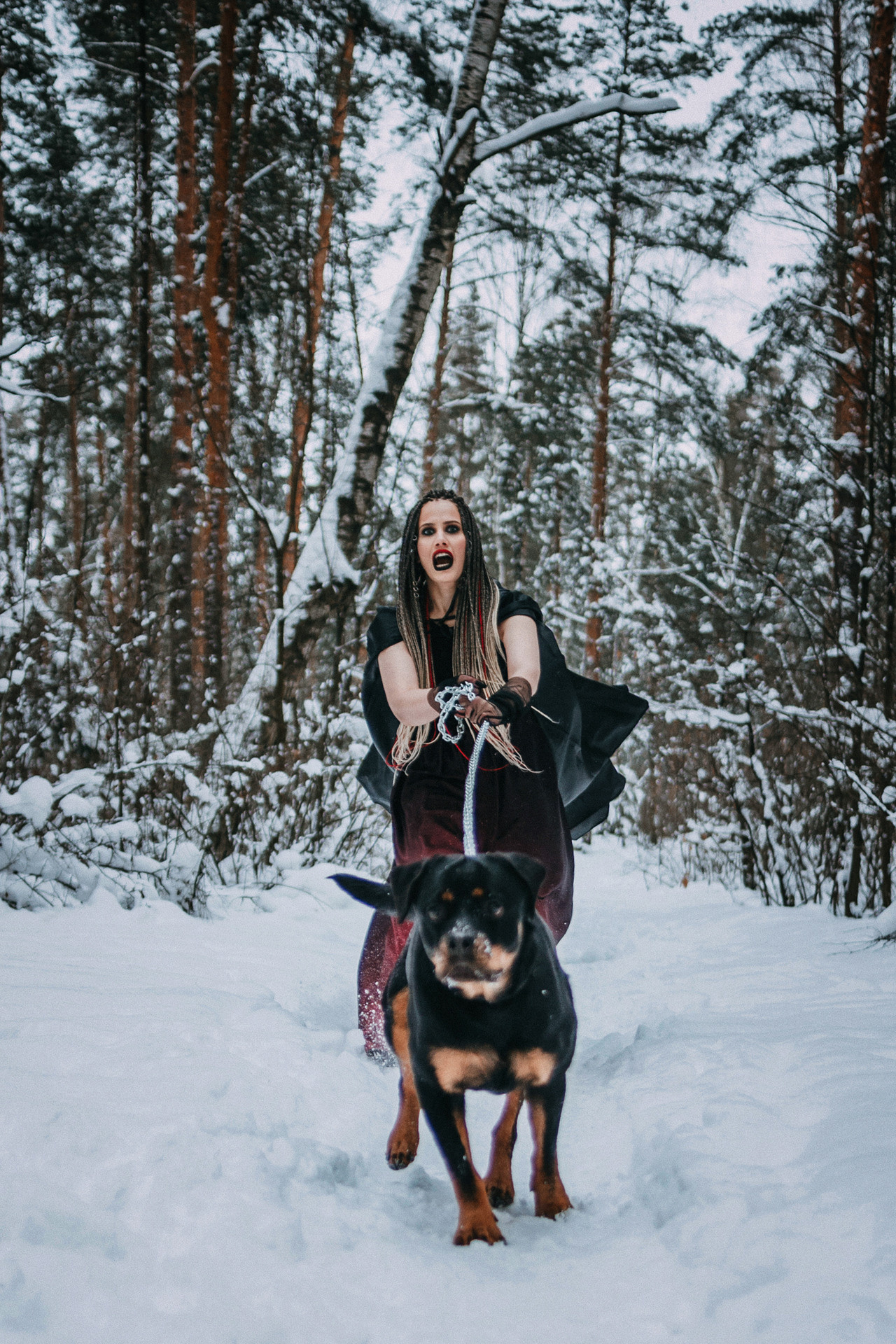 Каринэ и Цири. Фотограф-анималист Елена Радченко, Москва