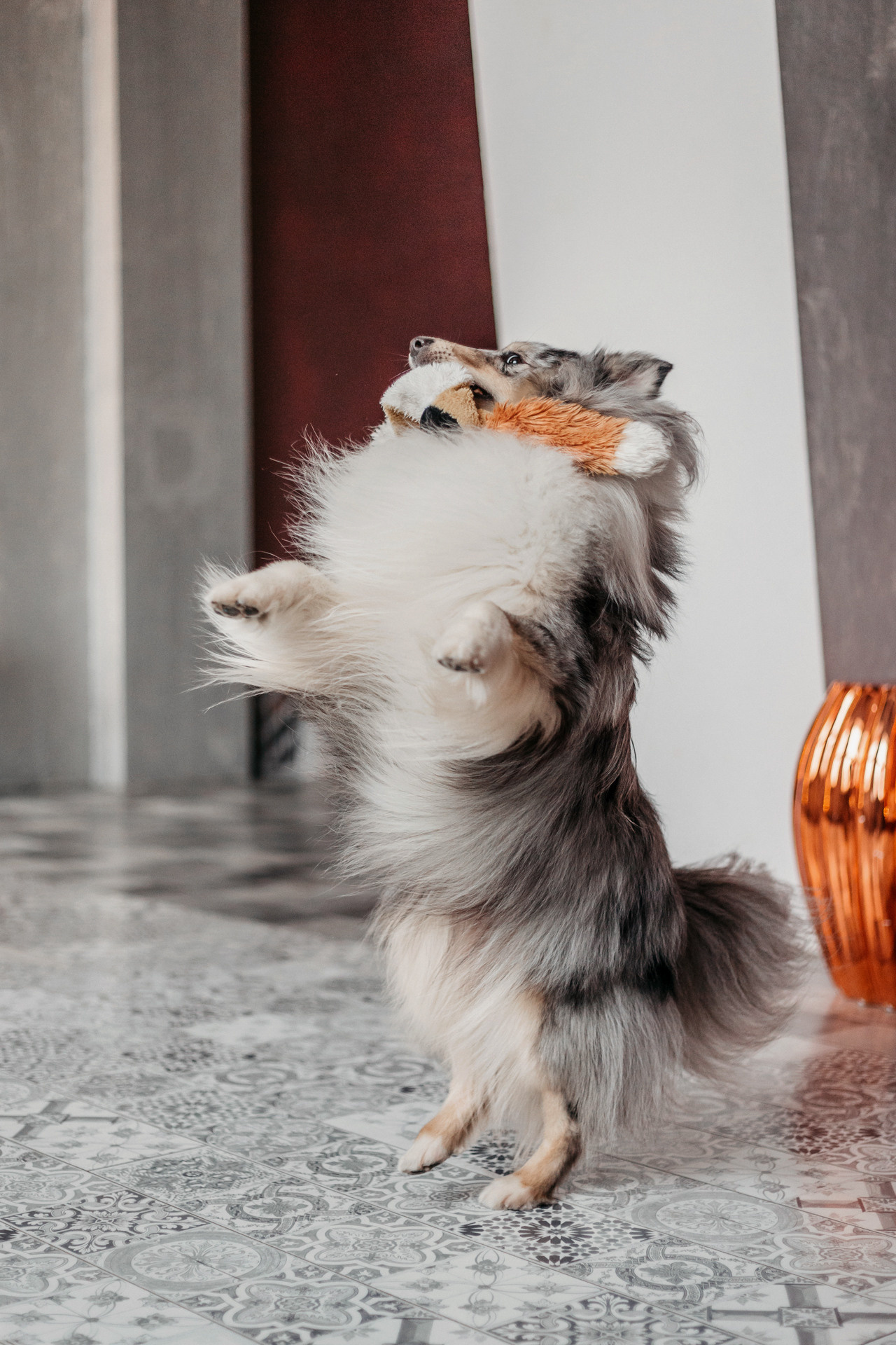 Аня и Скай. Фотограф-анималист Елена Радченко, Москва