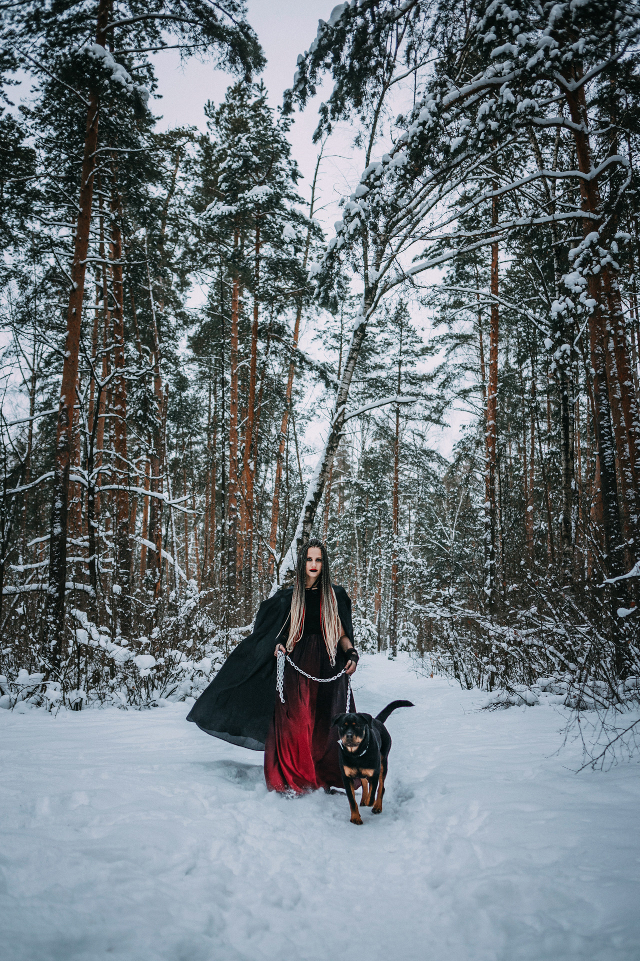 Каринэ и Цири. Фотограф-анималист Елена Радченко, Москва