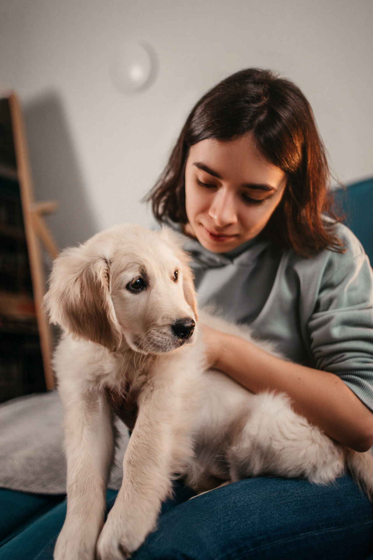 Настя, Вальда и Флер. Фотограф-анималист Елена Радченко, Москва