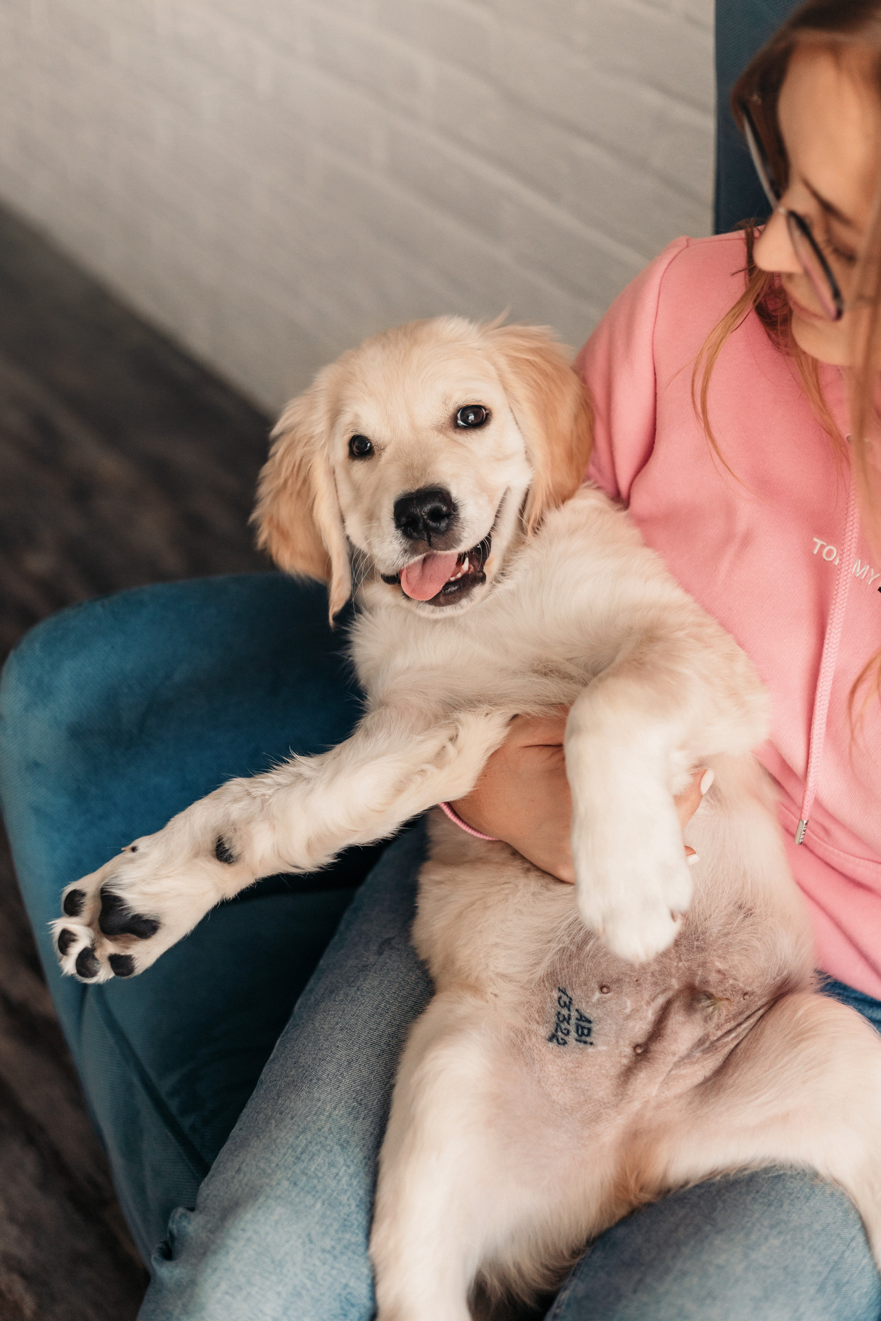 Наталья и Шелби. Фотограф-анималист Елена Радченко, Москва