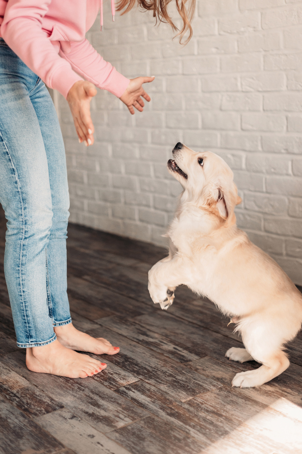 Наталья и Шелби. Фотограф-анималист Елена Радченко, Москва