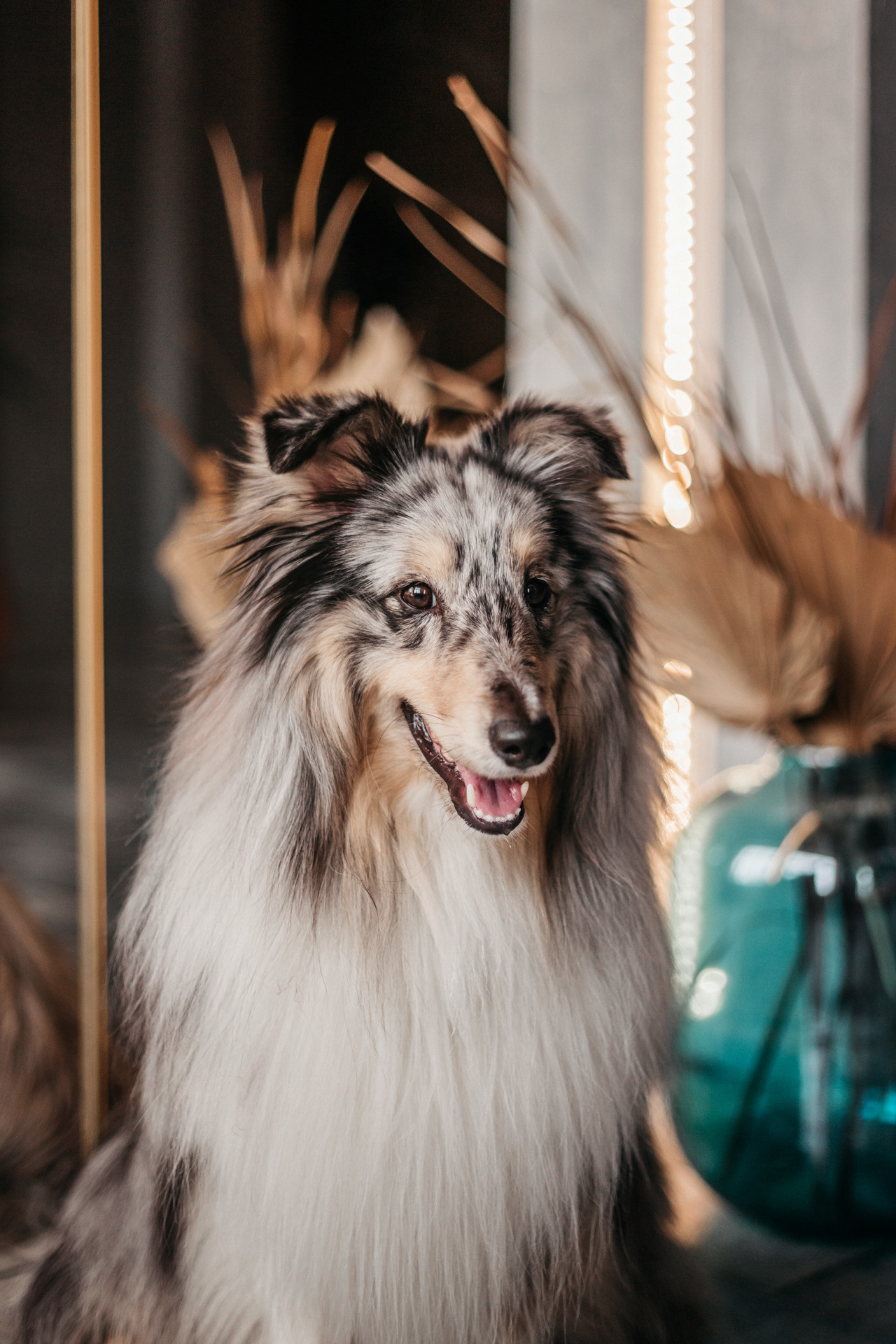 Аня и Скай. Фотограф-анималист Елена Радченко, Москва