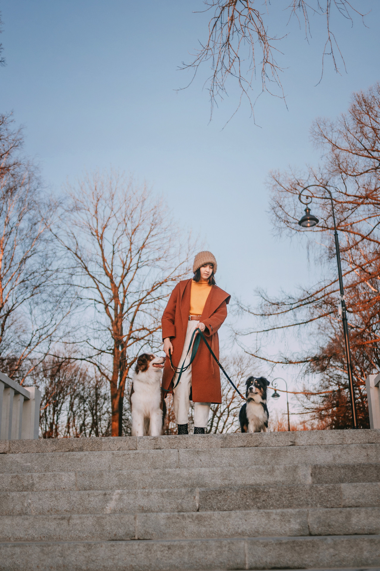 Нюта, Мэри и Лэсси. Фотограф-анималист Елена Радченко, Москва