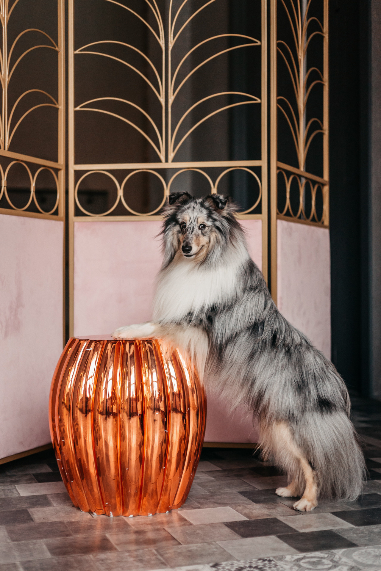 Аня и Скай. Фотограф-анималист Елена Радченко, Москва