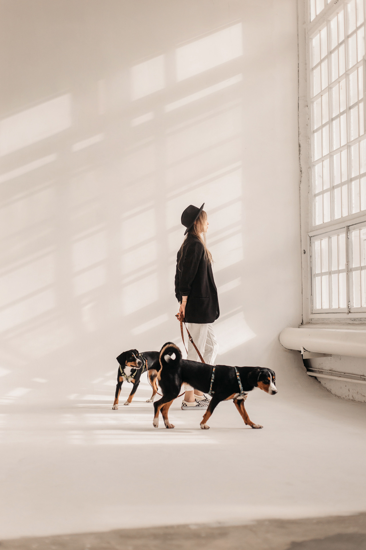 Аня, Вафля и Пикси. Фотограф-анималист Елена Радченко, Москва