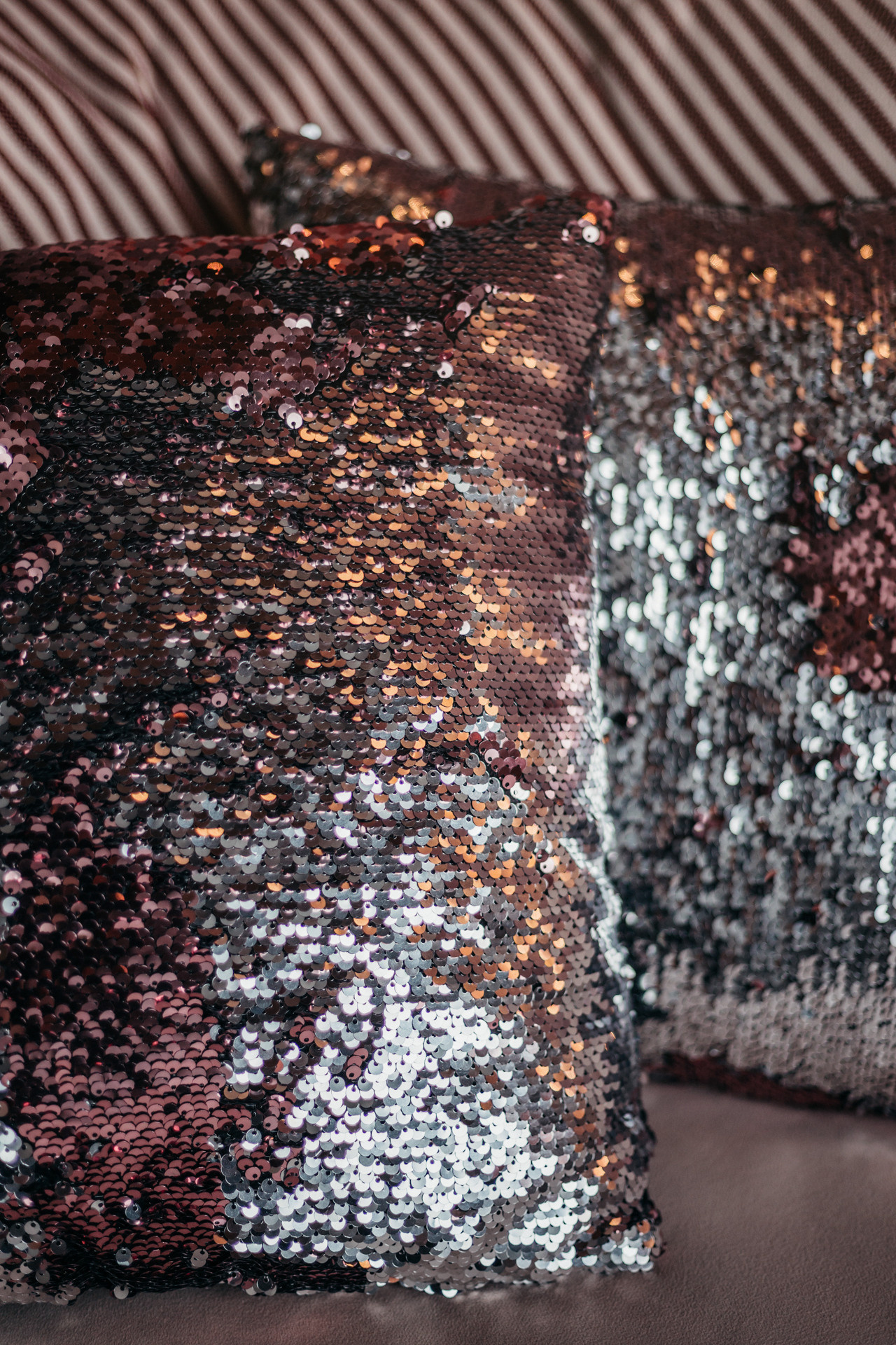 Аня и Скай. Фотограф-анималист Елена Радченко, Москва