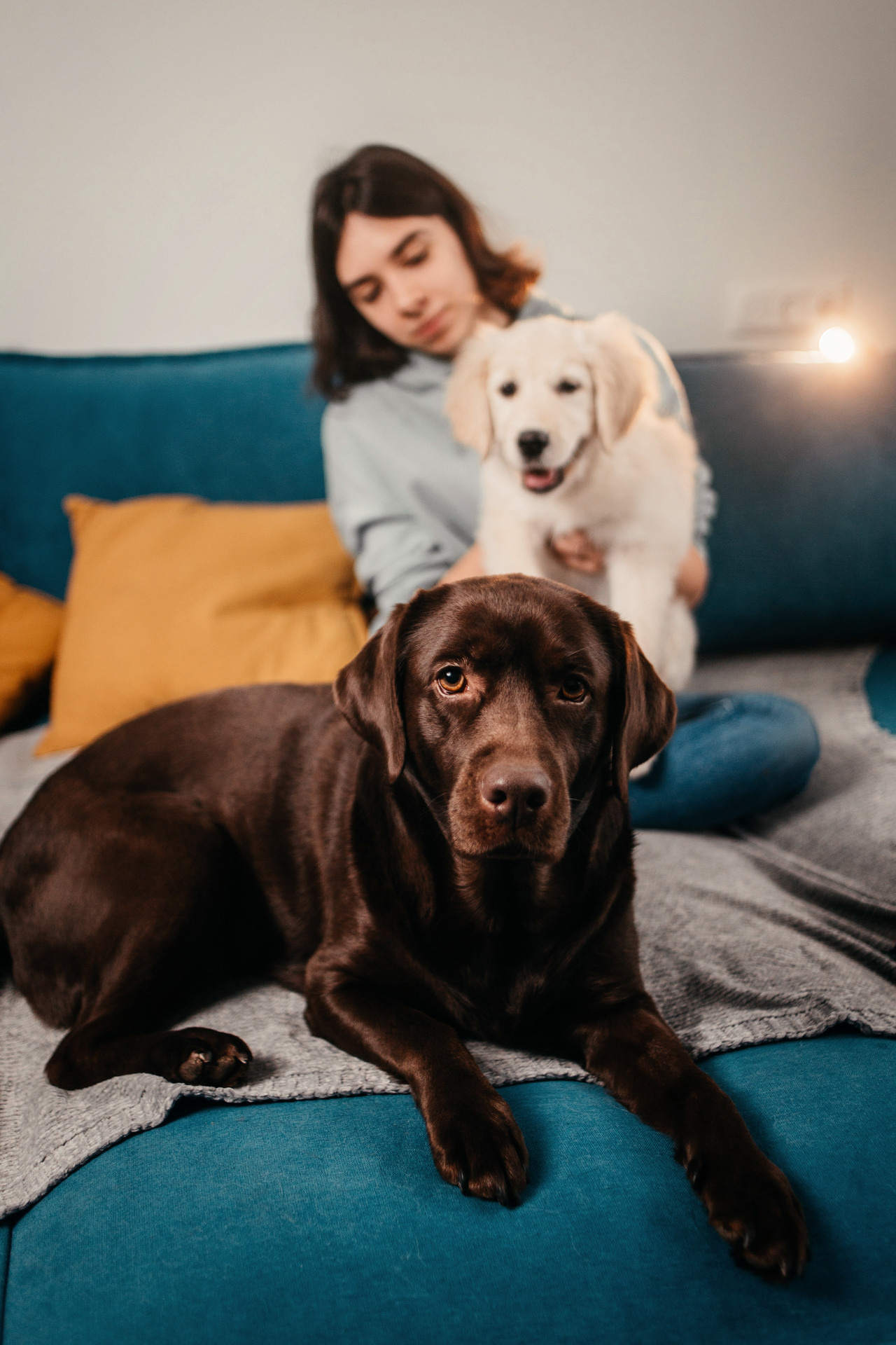 Настя, Вальда и Флер. Фотограф-анималист Елена Радченко, Москва