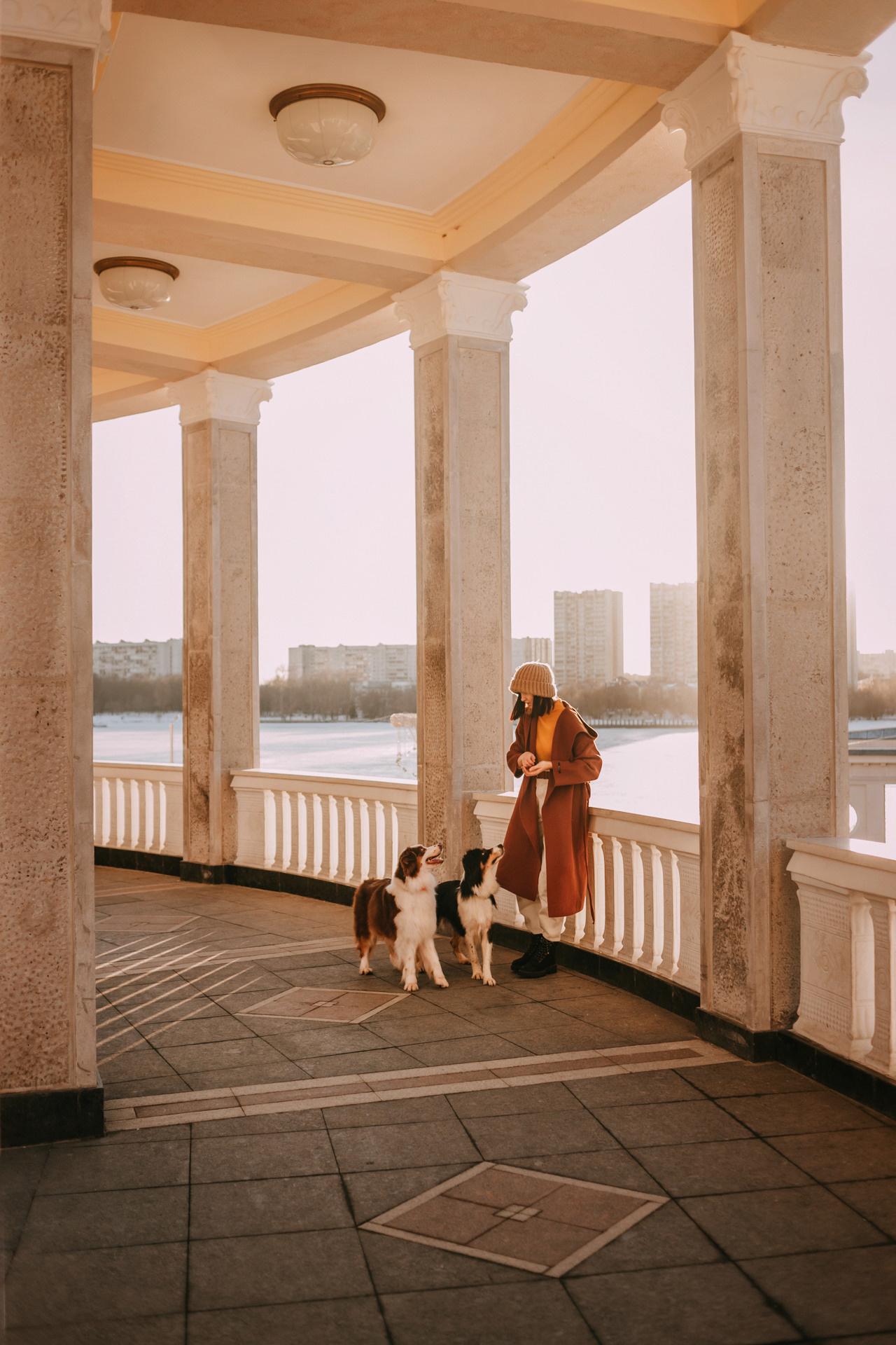 Нюта, Мэри и Лэсси. Фотограф-анималист Елена Радченко, Москва