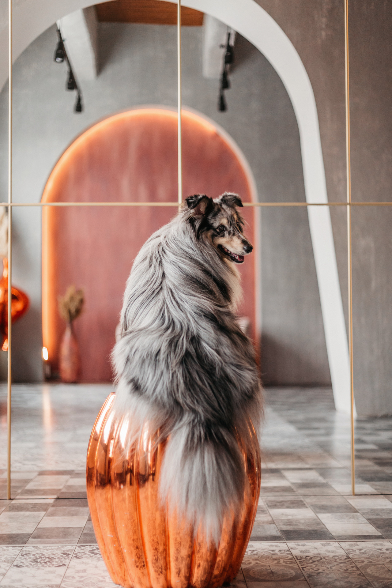 Аня и Скай. Фотограф-анималист Елена Радченко, Москва