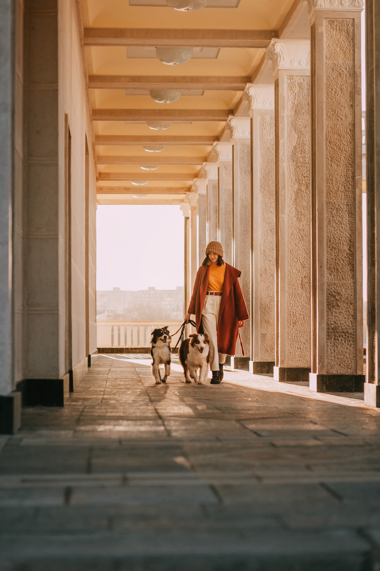 Нюта, Мэри и Лэсси. Фотограф-анималист Елена Радченко, Москва