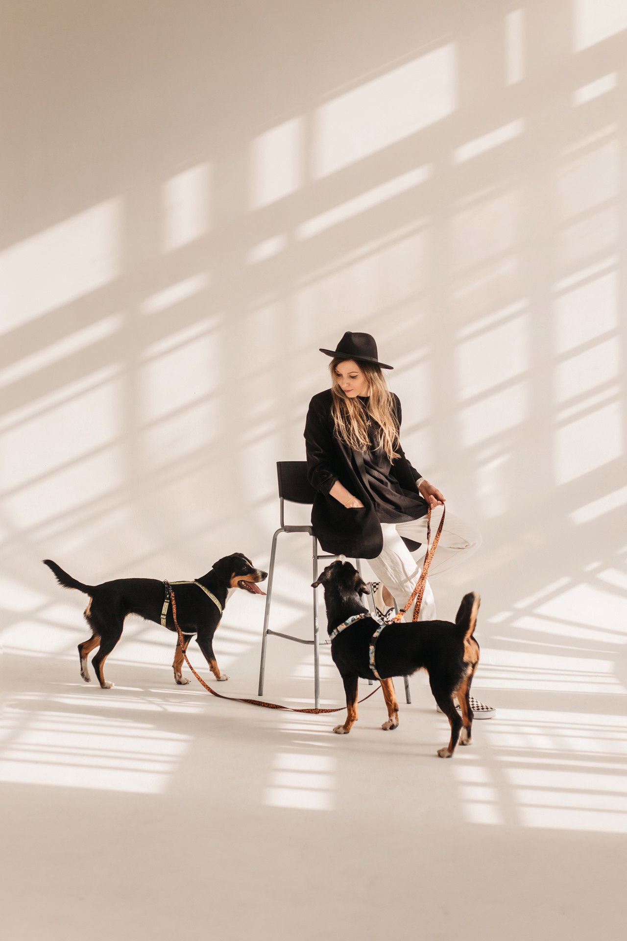 Аня, Вафля и Пикси. Фотограф-анималист Елена Радченко, Москва