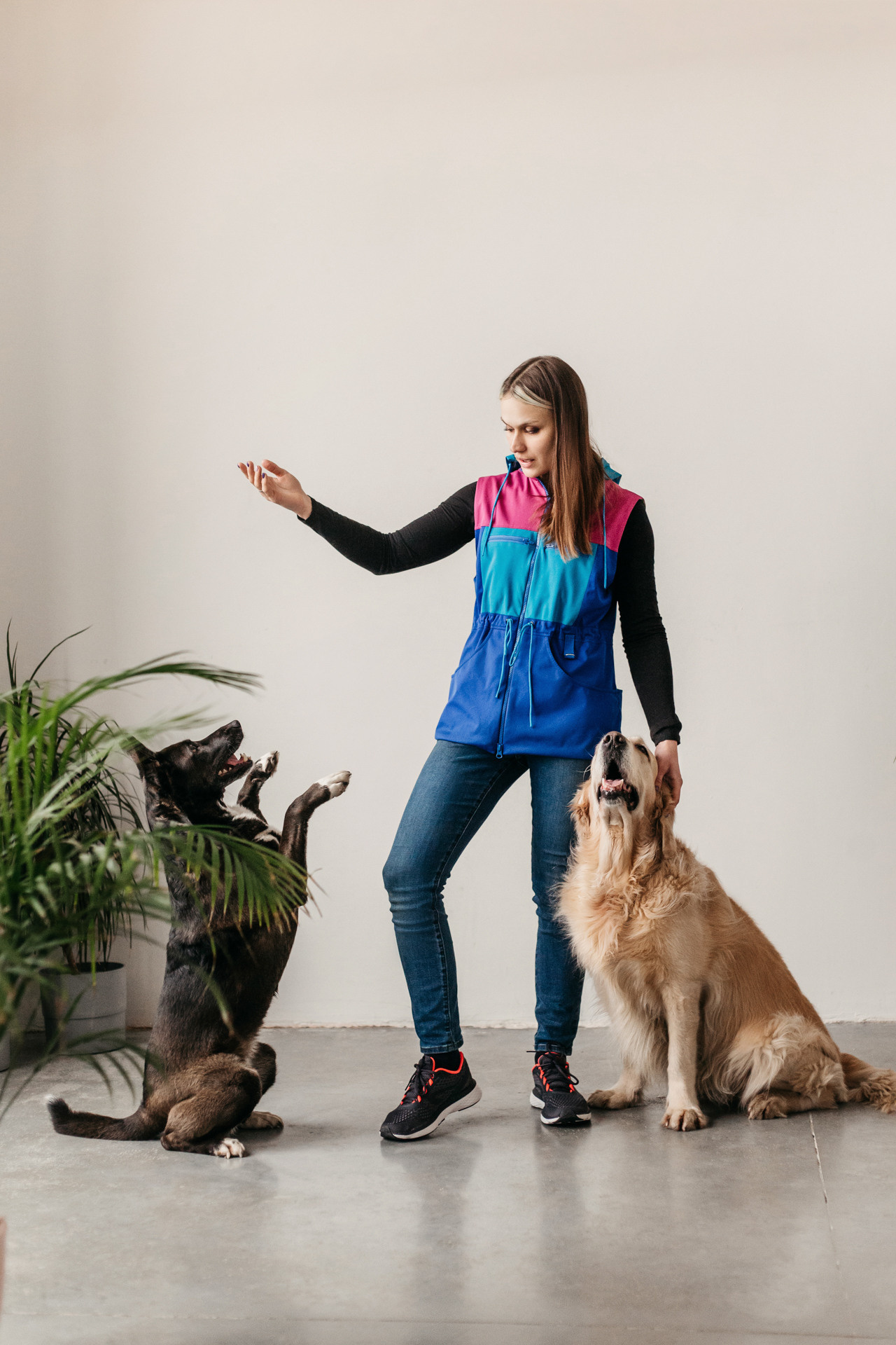 Ира, Бэлла и Альма. Фотограф-анималист Елена Радченко, Москва