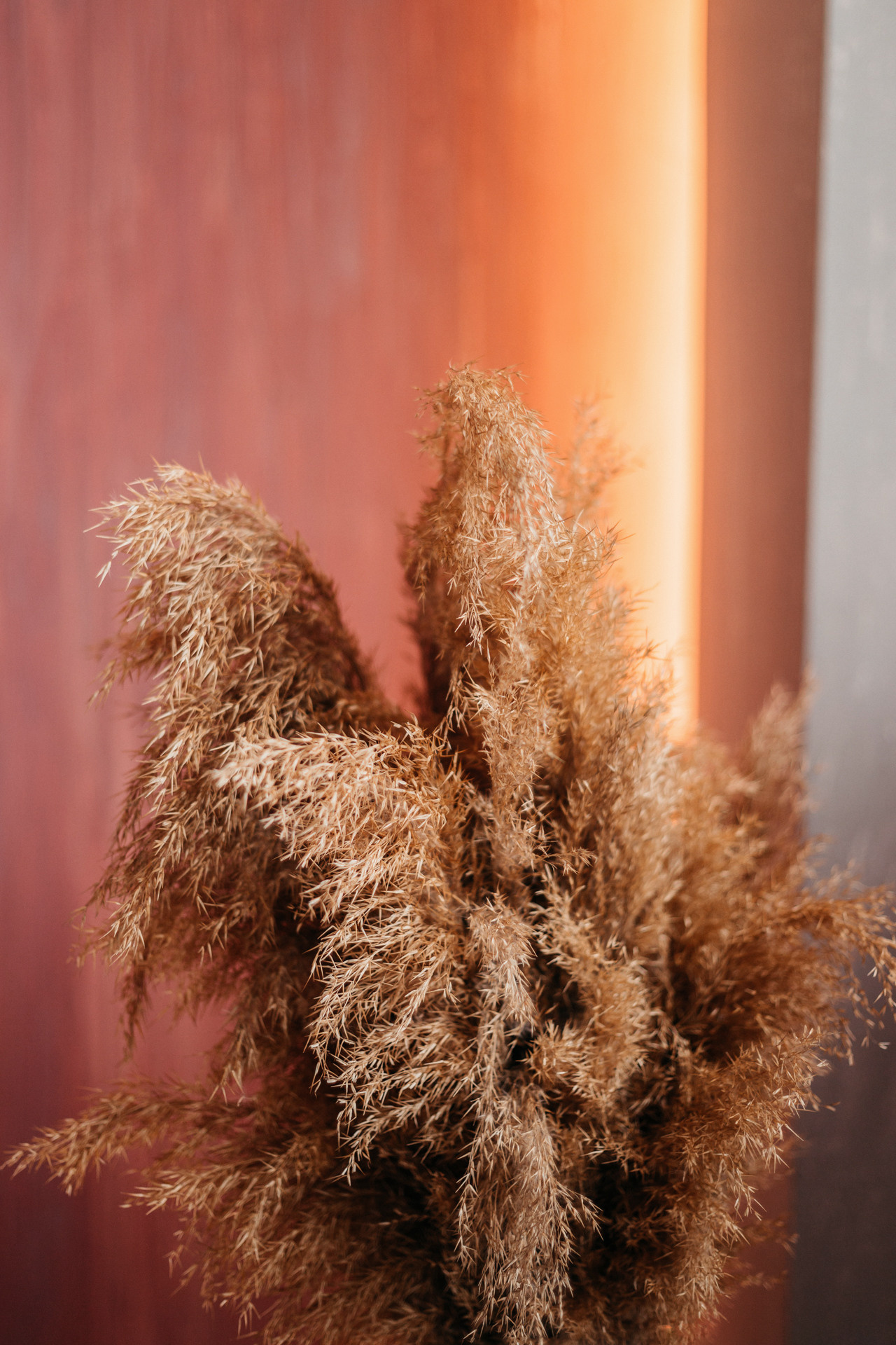 Аня и Скай. Фотограф-анималист Елена Радченко, Москва