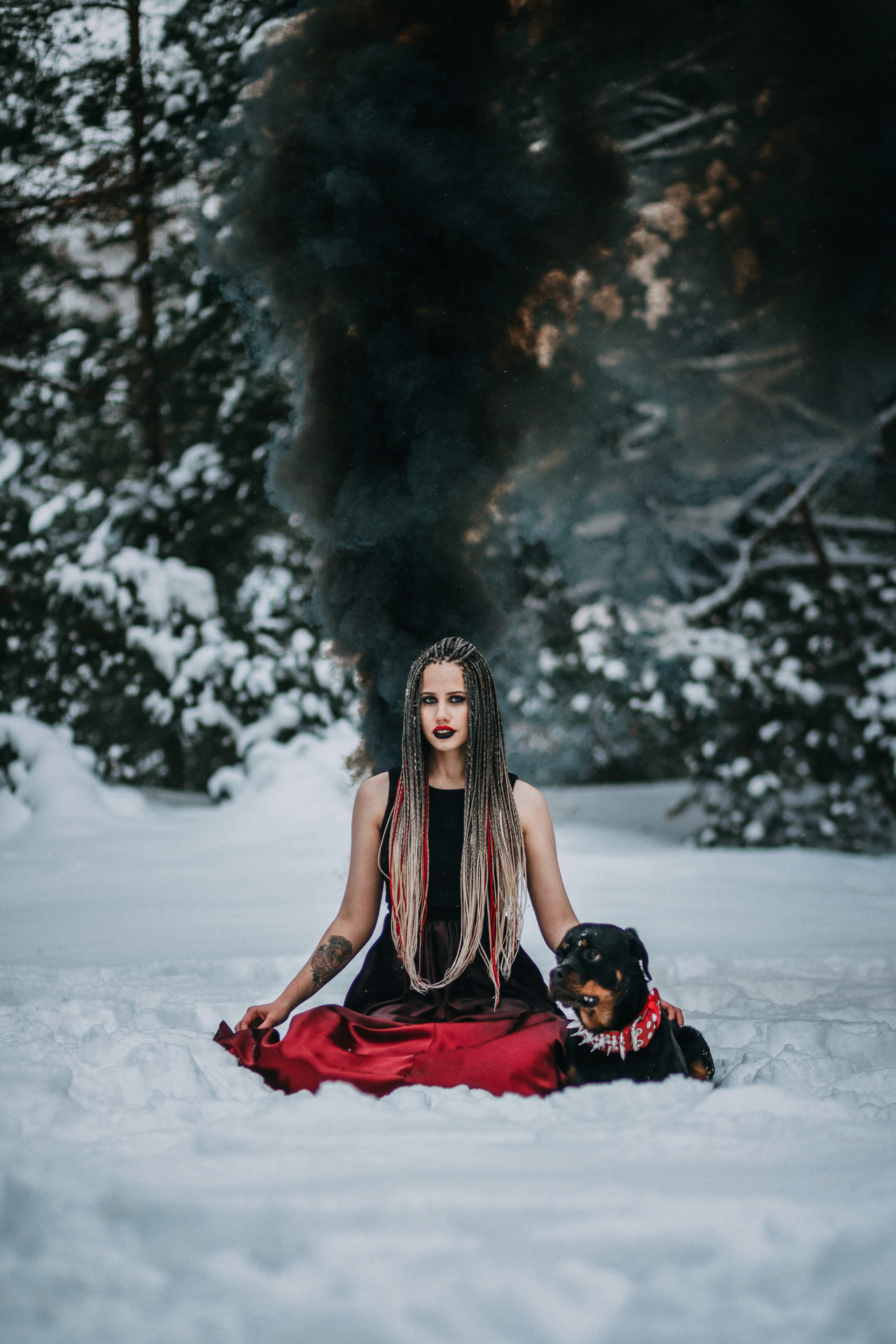 Каринэ и Цири. Фотограф-анималист Елена Радченко, Москва