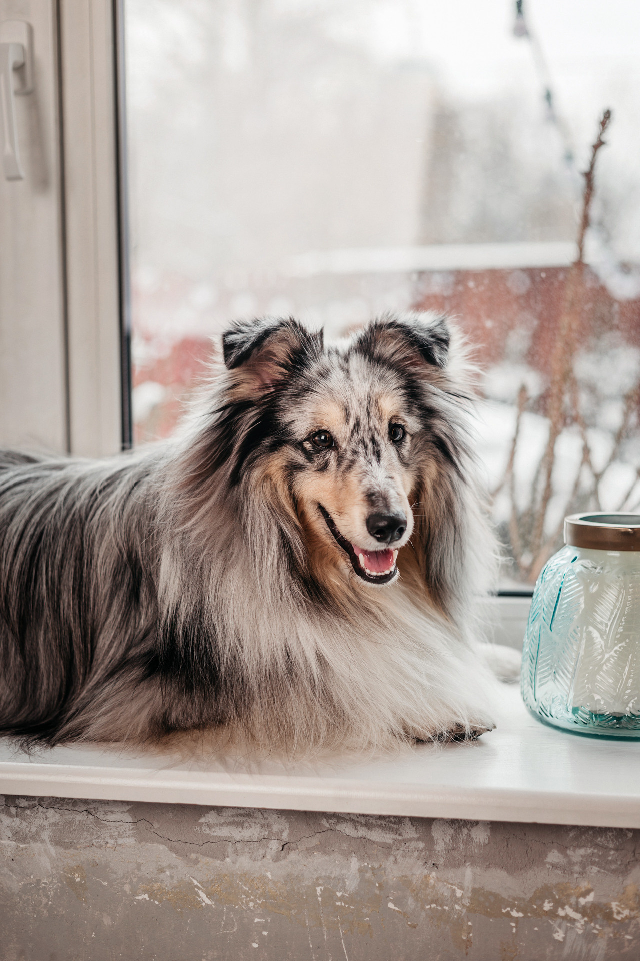 Аня и Скай. Фотограф-анималист Елена Радченко, Москва