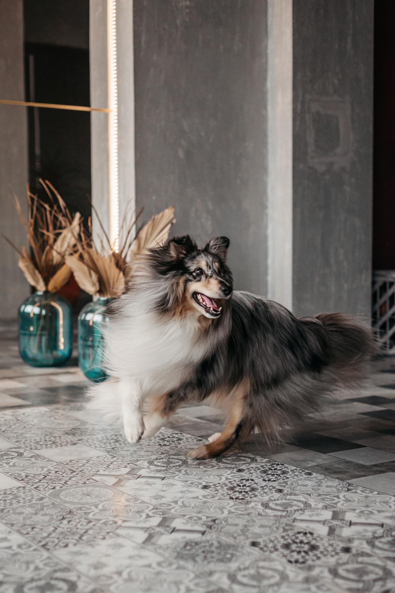 Аня и Скай. Фотограф-анималист Елена Радченко, Москва