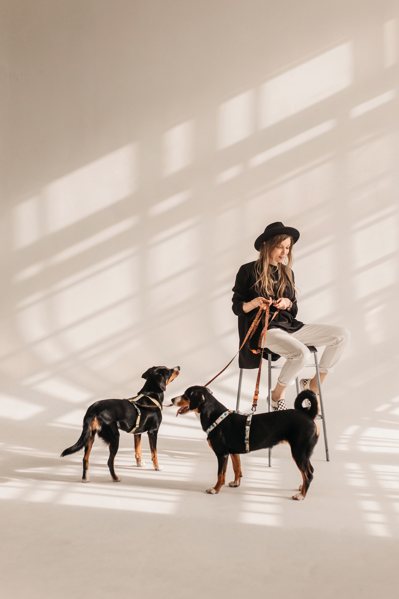 Аня, Вафля и Пикси. Фотограф-анималист Елена Радченко, Москва