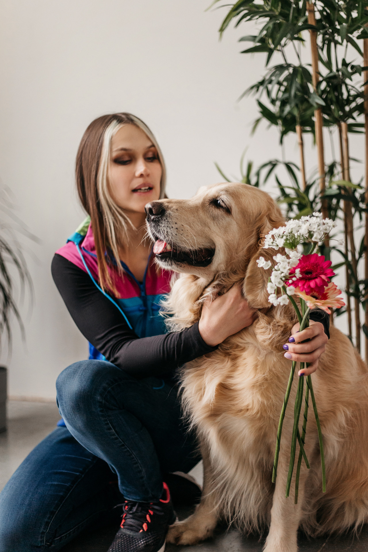 Ира, Бэлла и Альма. Фотограф-анималист Елена Радченко, Москва