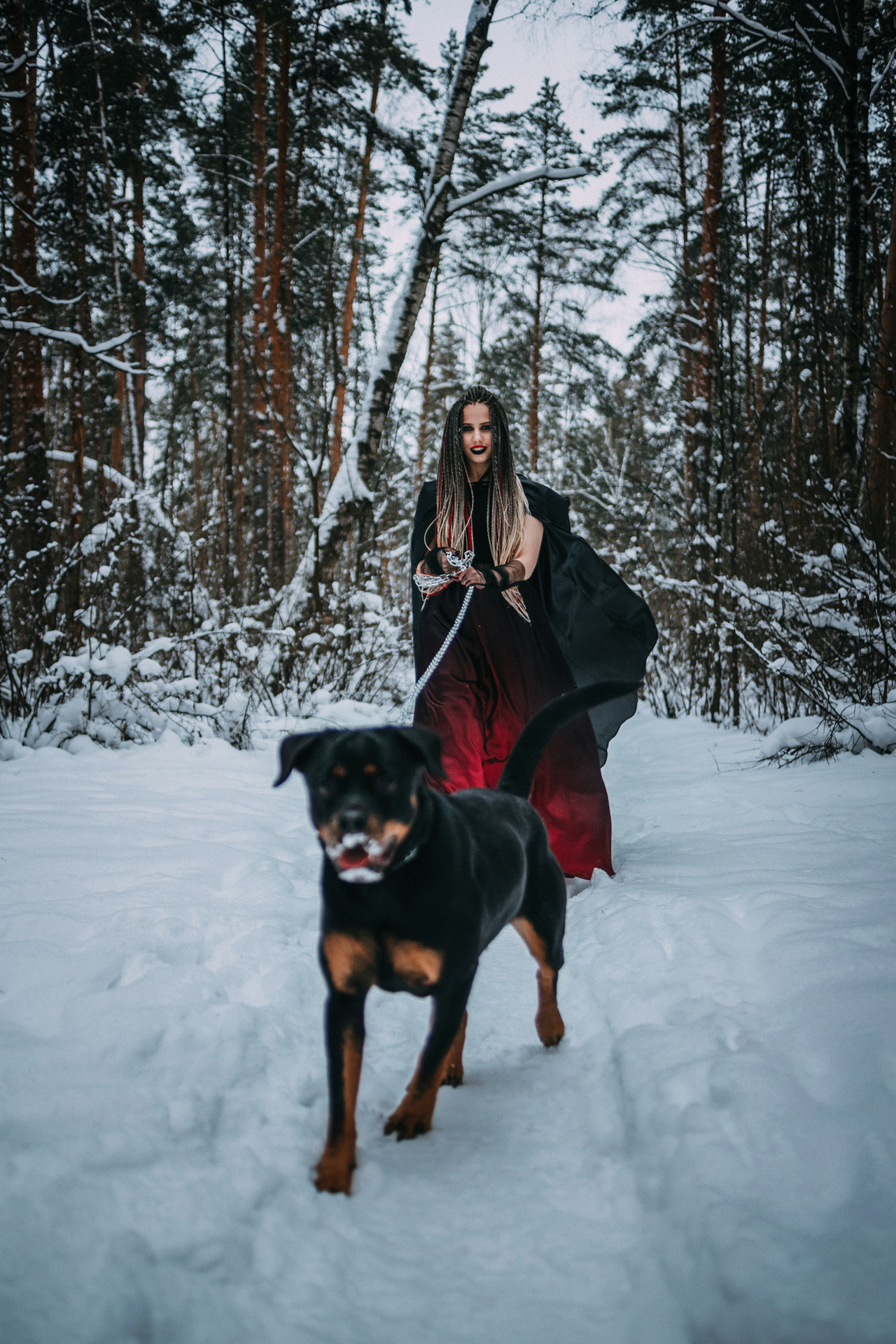 Каринэ и Цири. Фотограф-анималист Елена Радченко, Москва