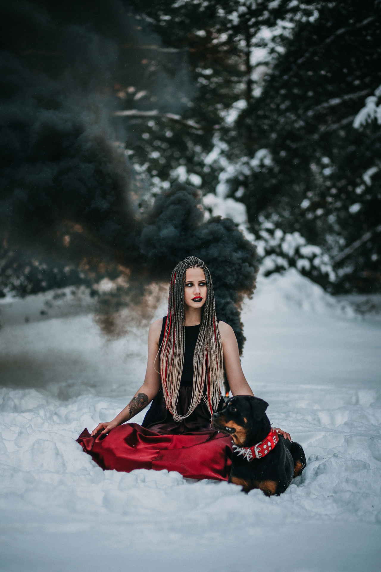 Каринэ и Цири. Фотограф-анималист Елена Радченко, Москва