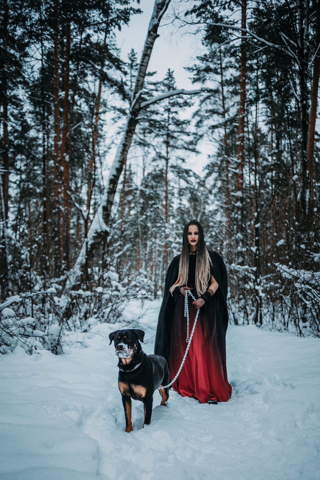 Каринэ и Цири. Фотограф-анималист Елена Радченко, Москва