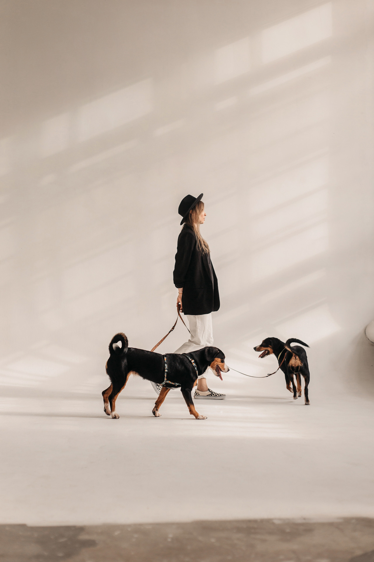 Аня, Вафля и Пикси. Фотограф-анималист Елена Радченко, Москва