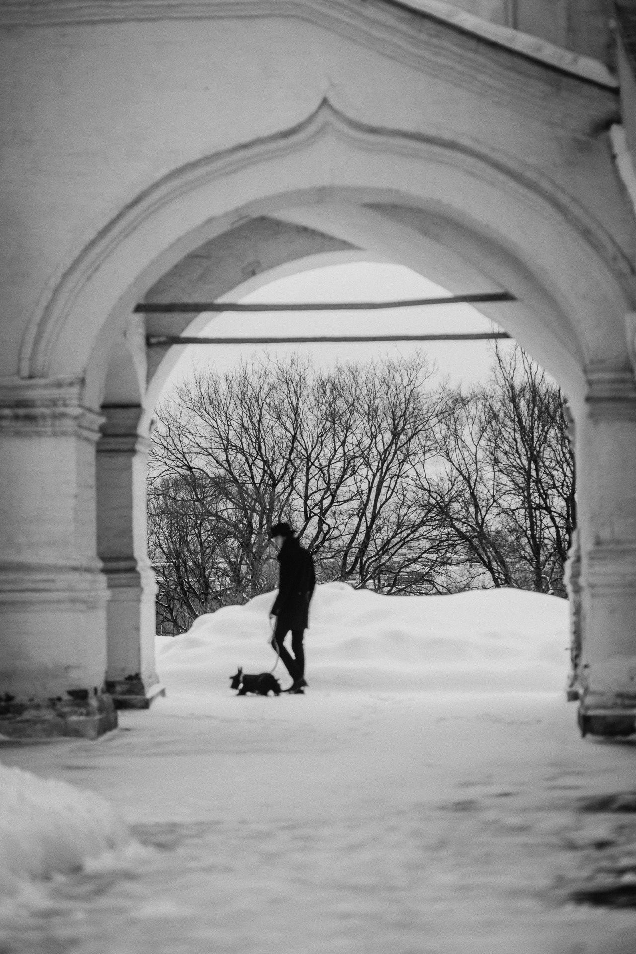 Сергей и Урса. Фотограф-анималист Елена Радченко, Москва