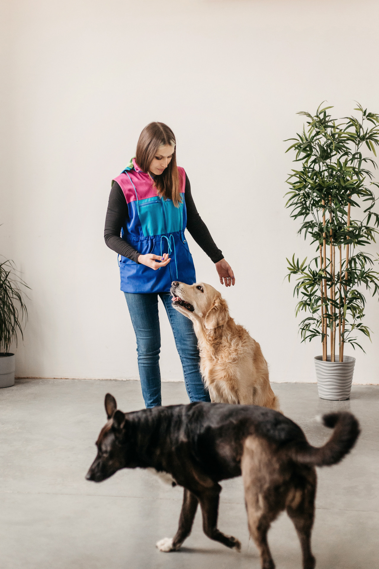 Ира, Бэлла и Альма. Фотограф-анималист Елена Радченко, Москва