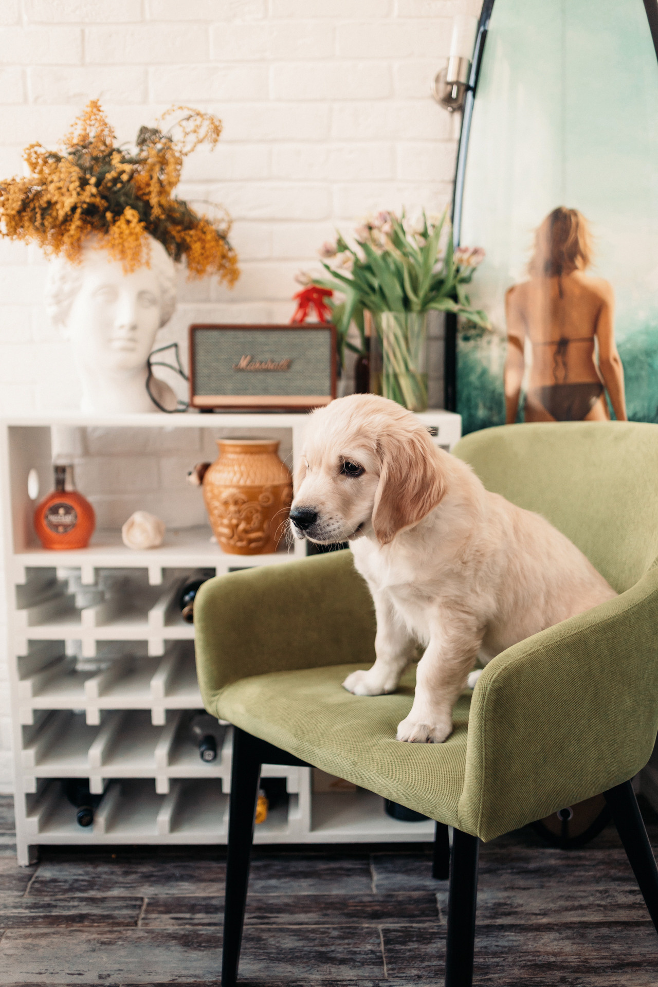 Наталья и Шелби. Фотограф-анималист Елена Радченко, Москва