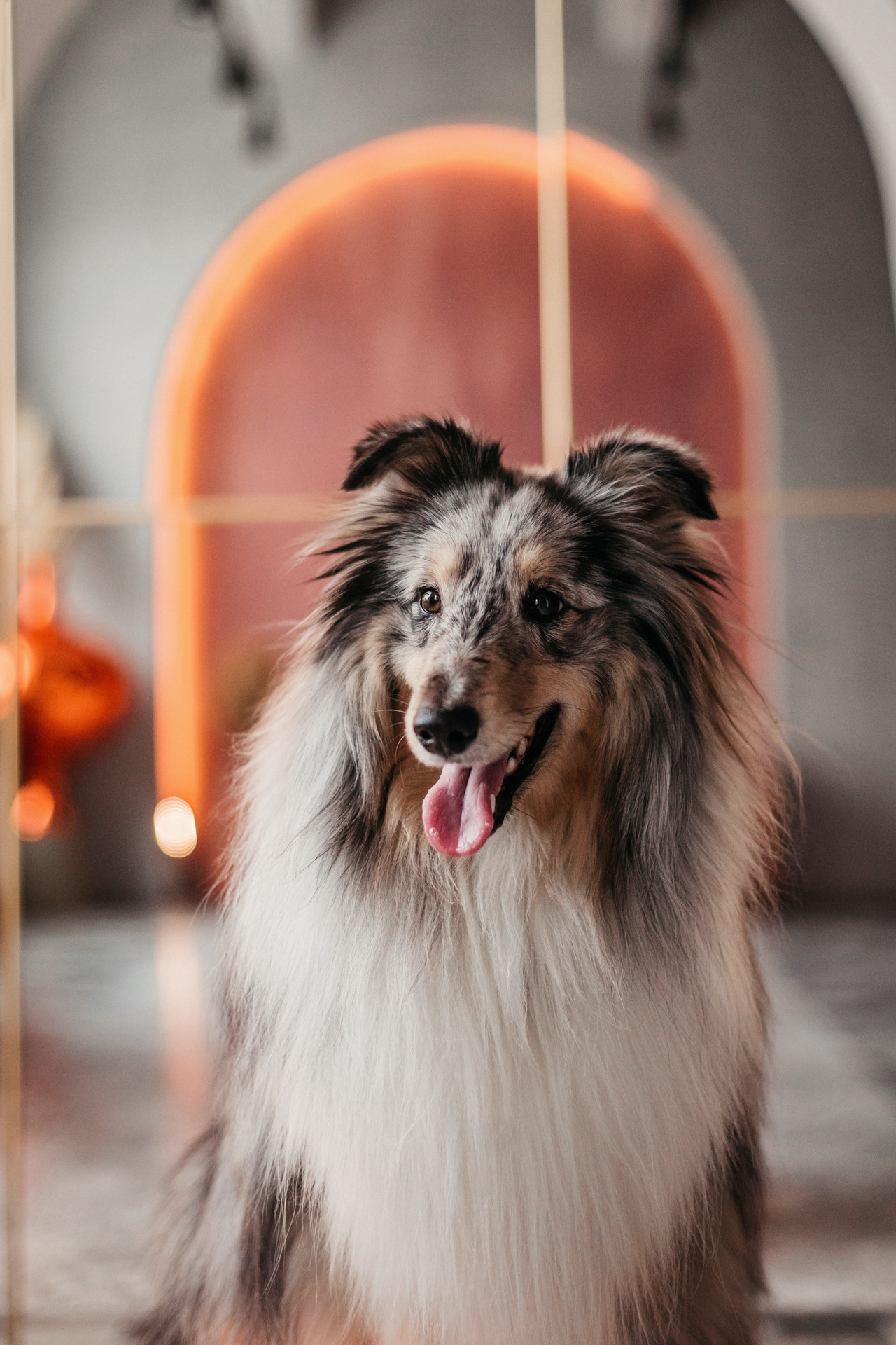Аня и Скай. Фотограф-анималист Елена Радченко, Москва