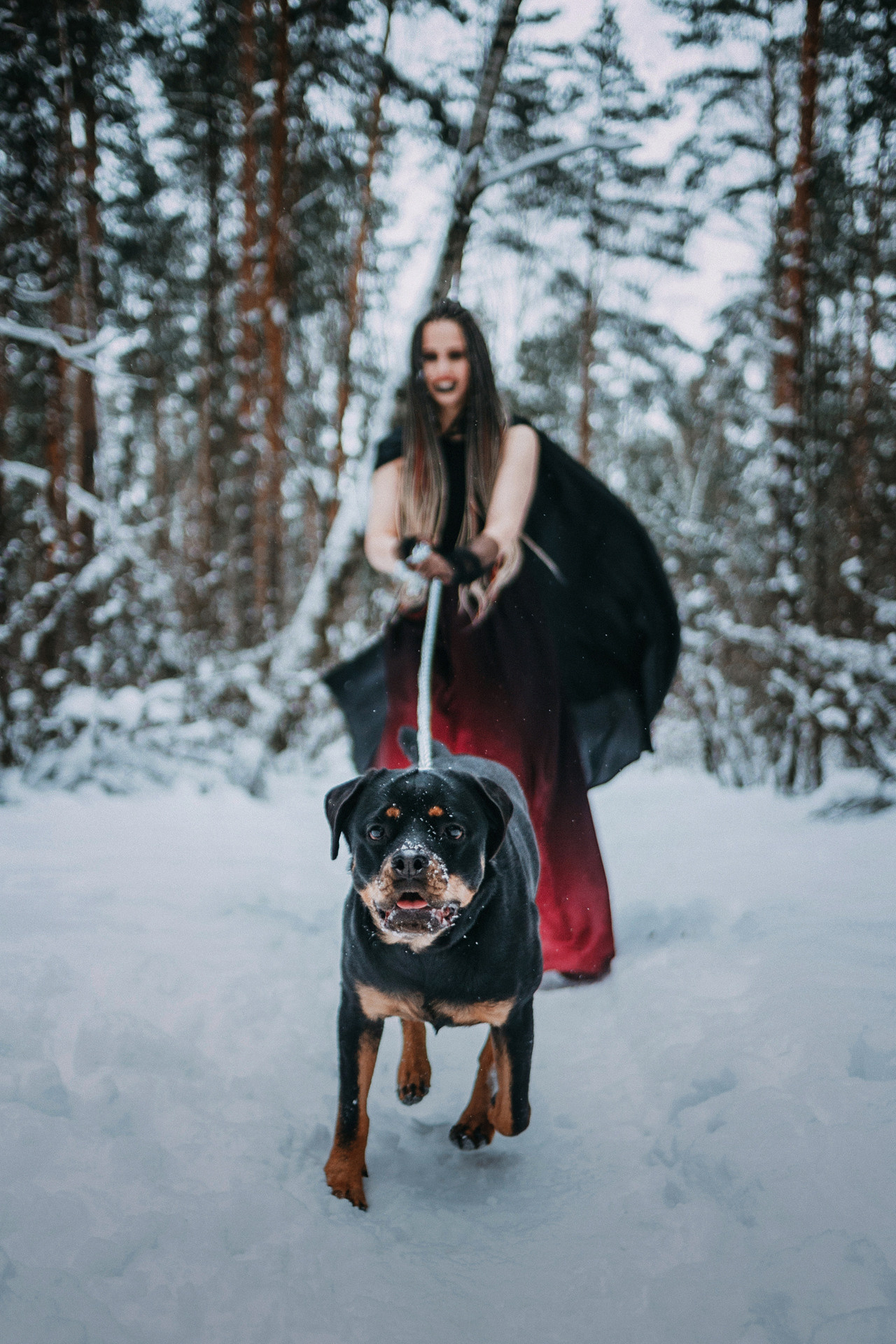 Каринэ и Цири. Фотограф-анималист Елена Радченко, Москва