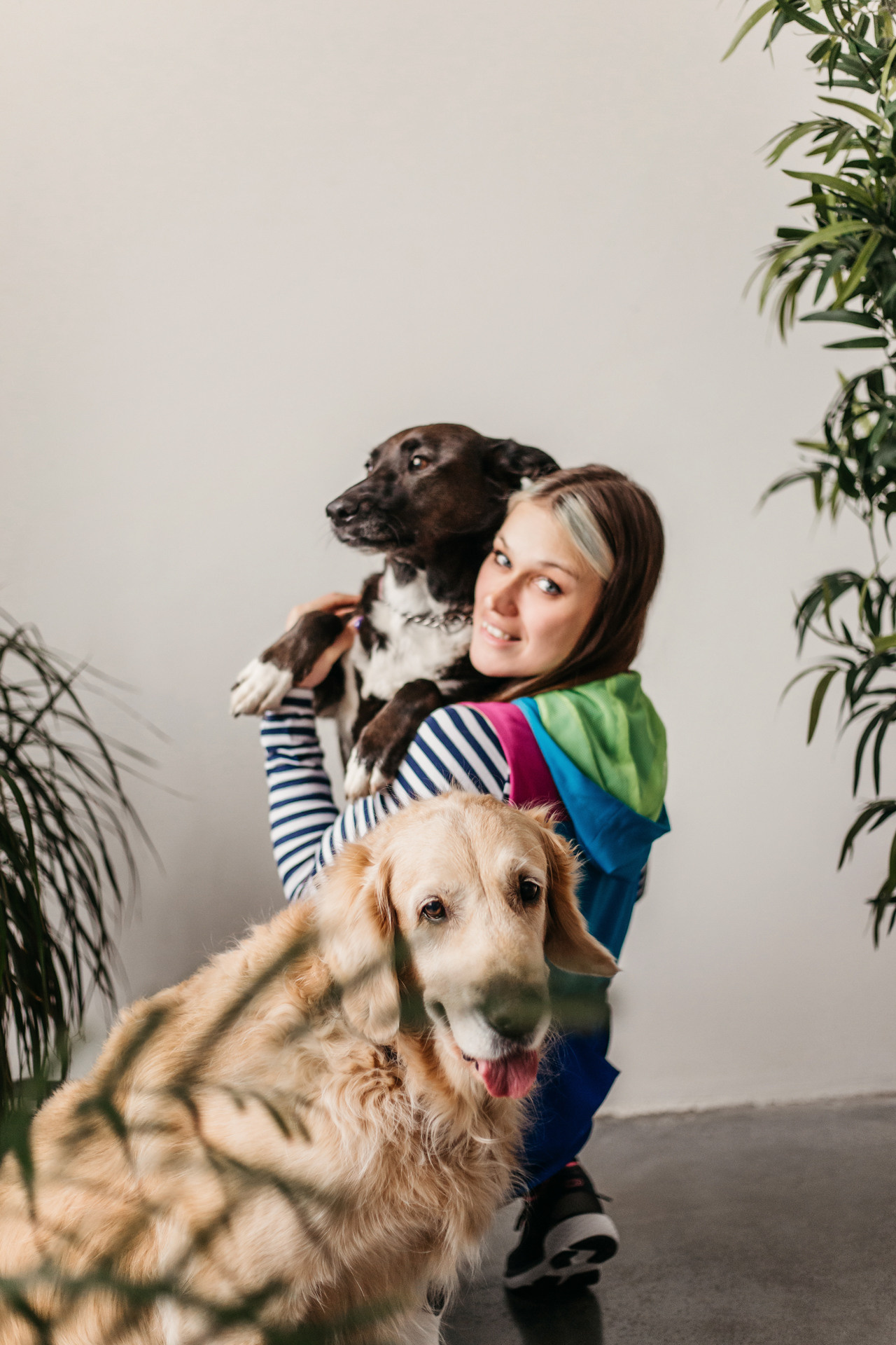 Ира, Бэлла и Альма. Фотограф-анималист Елена Радченко, Москва