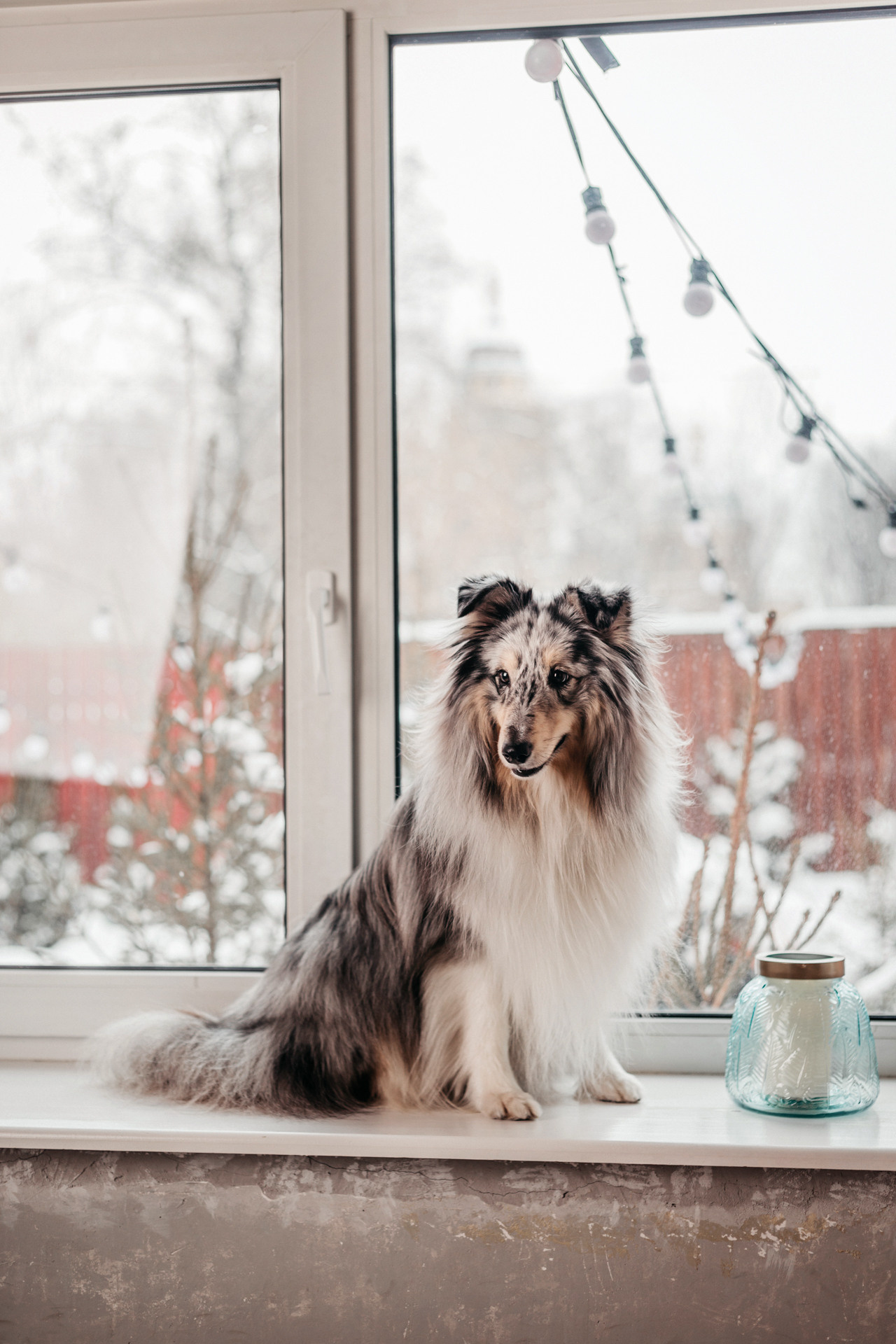 Аня и Скай. Фотограф-анималист Елена Радченко, Москва