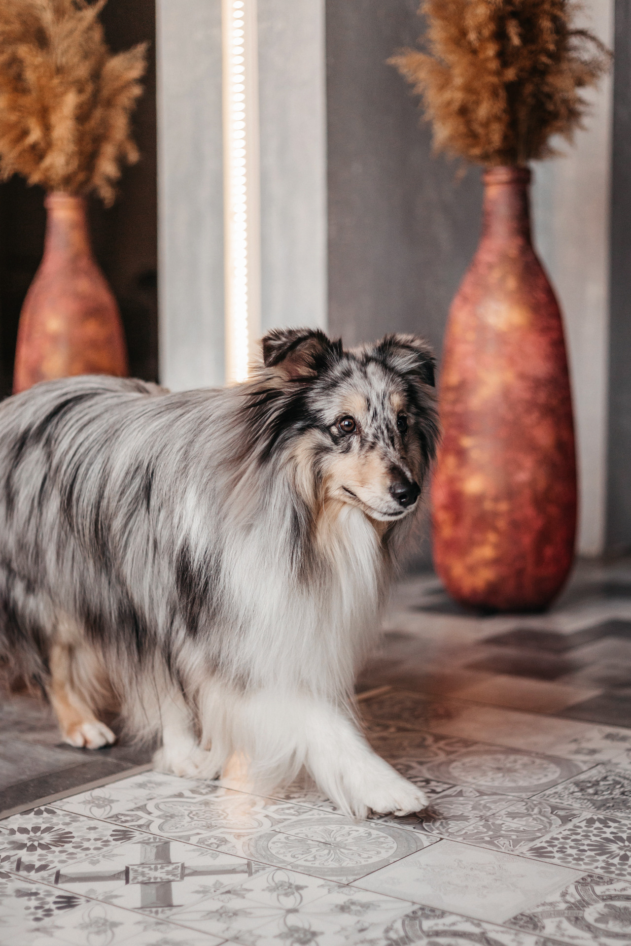 Аня и Скай. Фотограф-анималист Елена Радченко, Москва