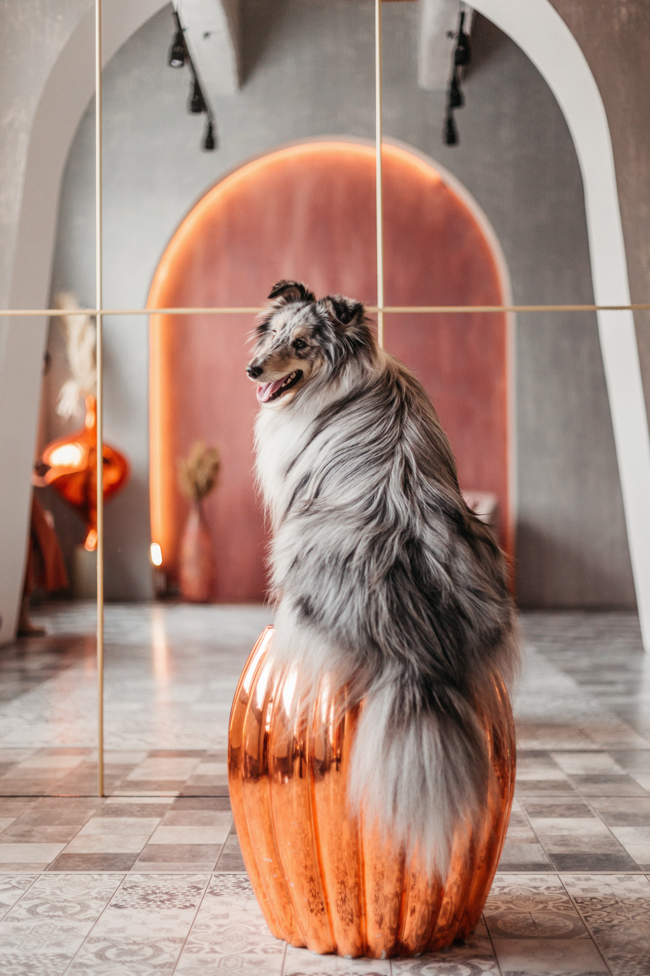 Аня и Скай. Фотограф-анималист Елена Радченко, Москва